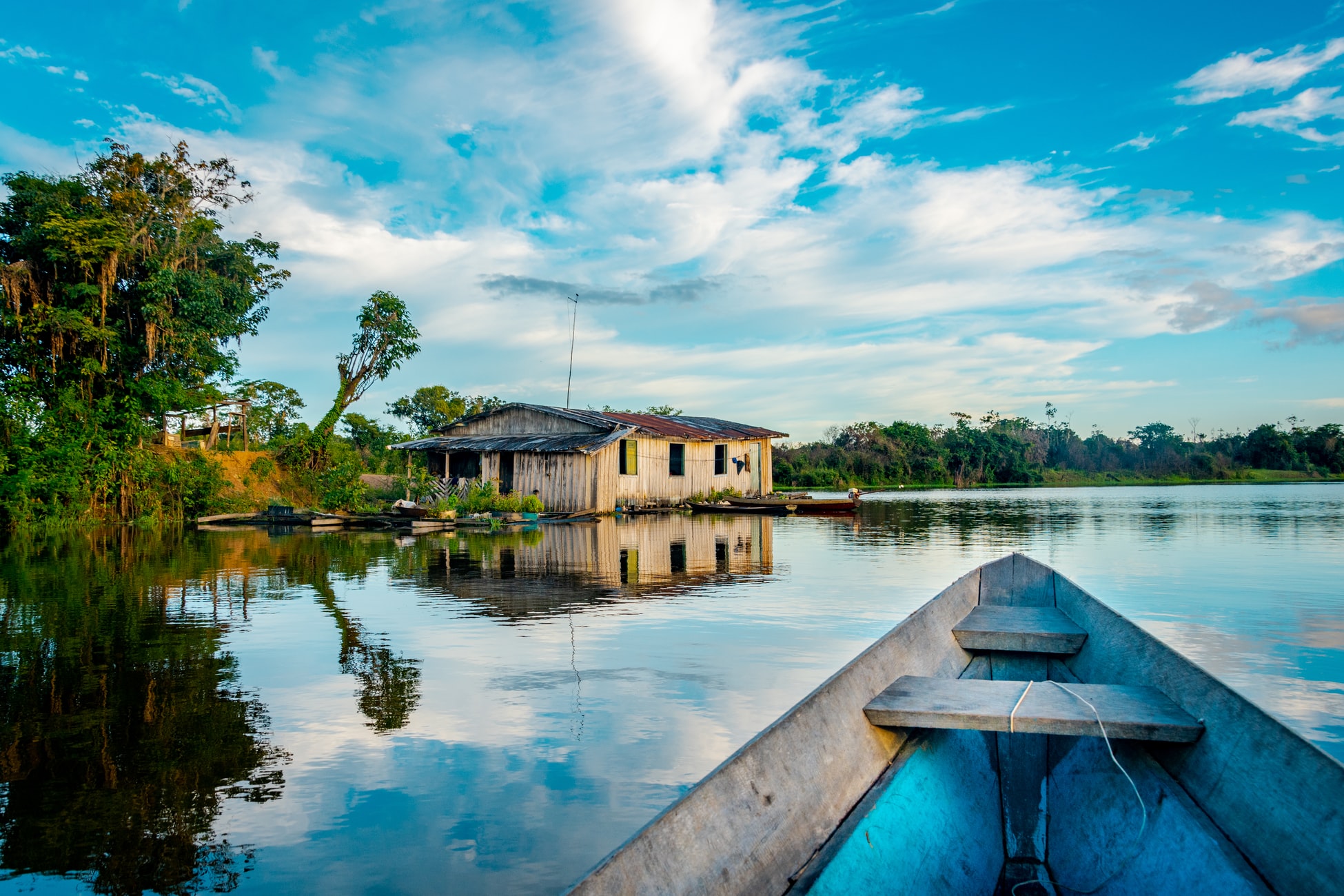 Αμαζόνιος: Ανατρεπτικά στοιχεία για τον «πνεύμονα» του πλανήτη