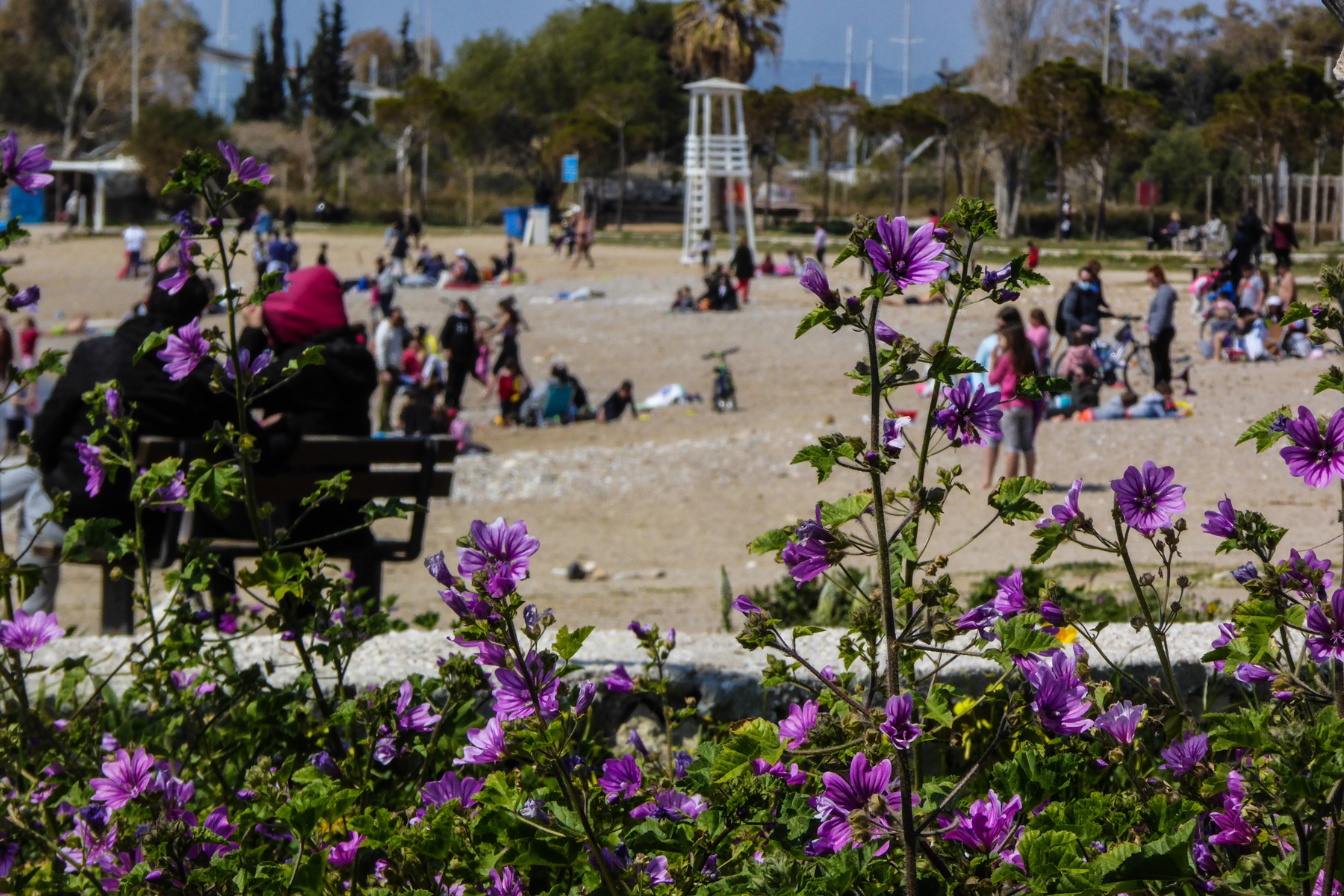 Θετικά κρούσματα self test: Πόσα έχουν εντοπιστεί μόνο από αυτά