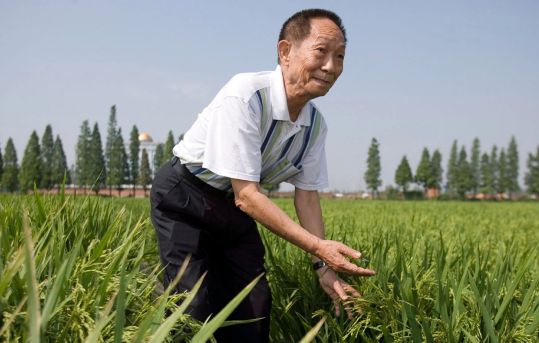 «Πατέρας του ρυζιού»: Πέθανε ο Γουάν Λονγκπίνγκ – Εθνικό πένθος στην Κίνα