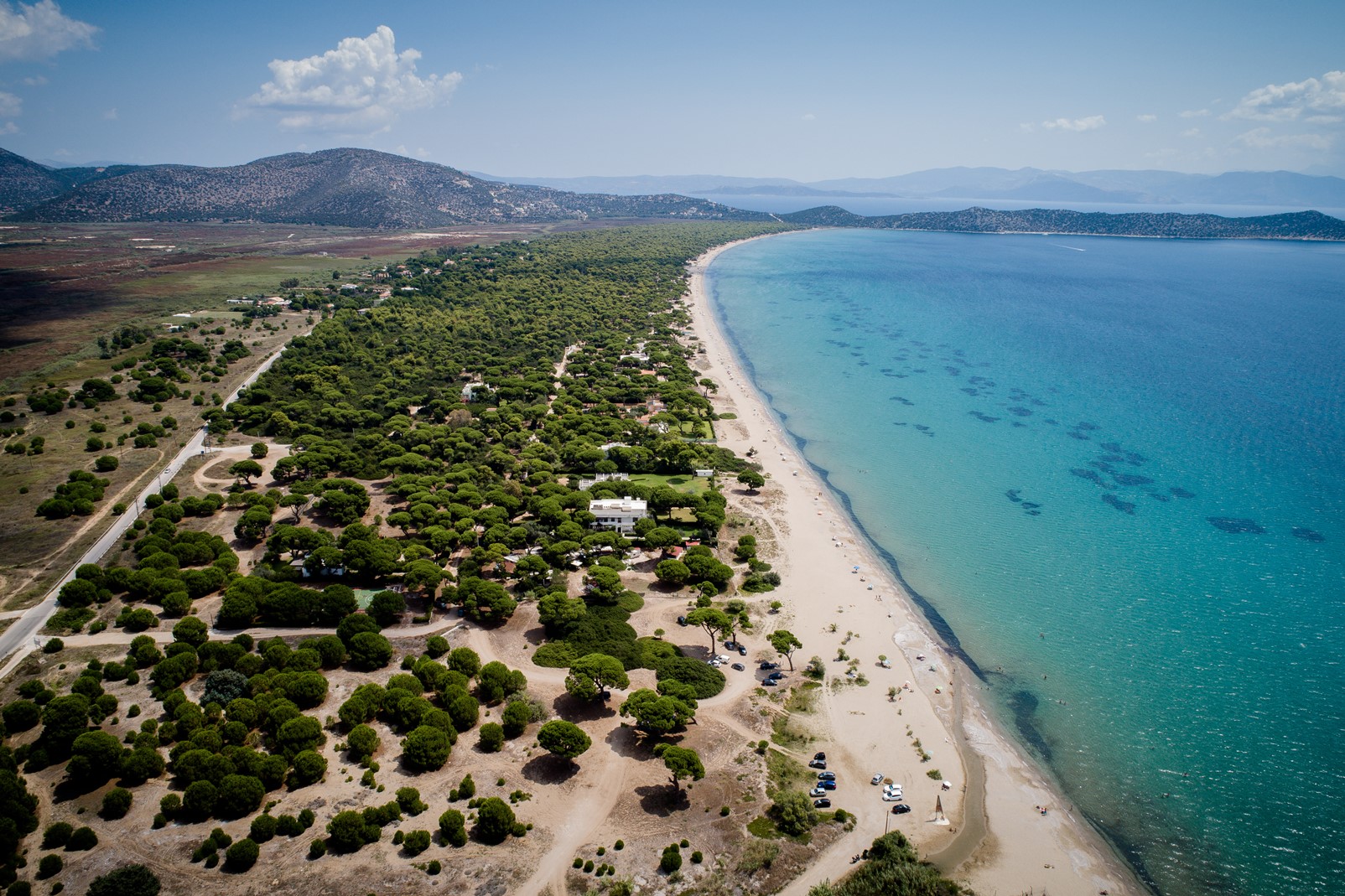 Δήμος Μαραθώνα: Ενέργειες αντιπυρικής περιόδου