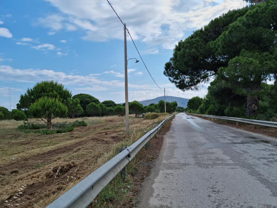 Δήμος Μαραθώνος: Αντιπυρική προστασία