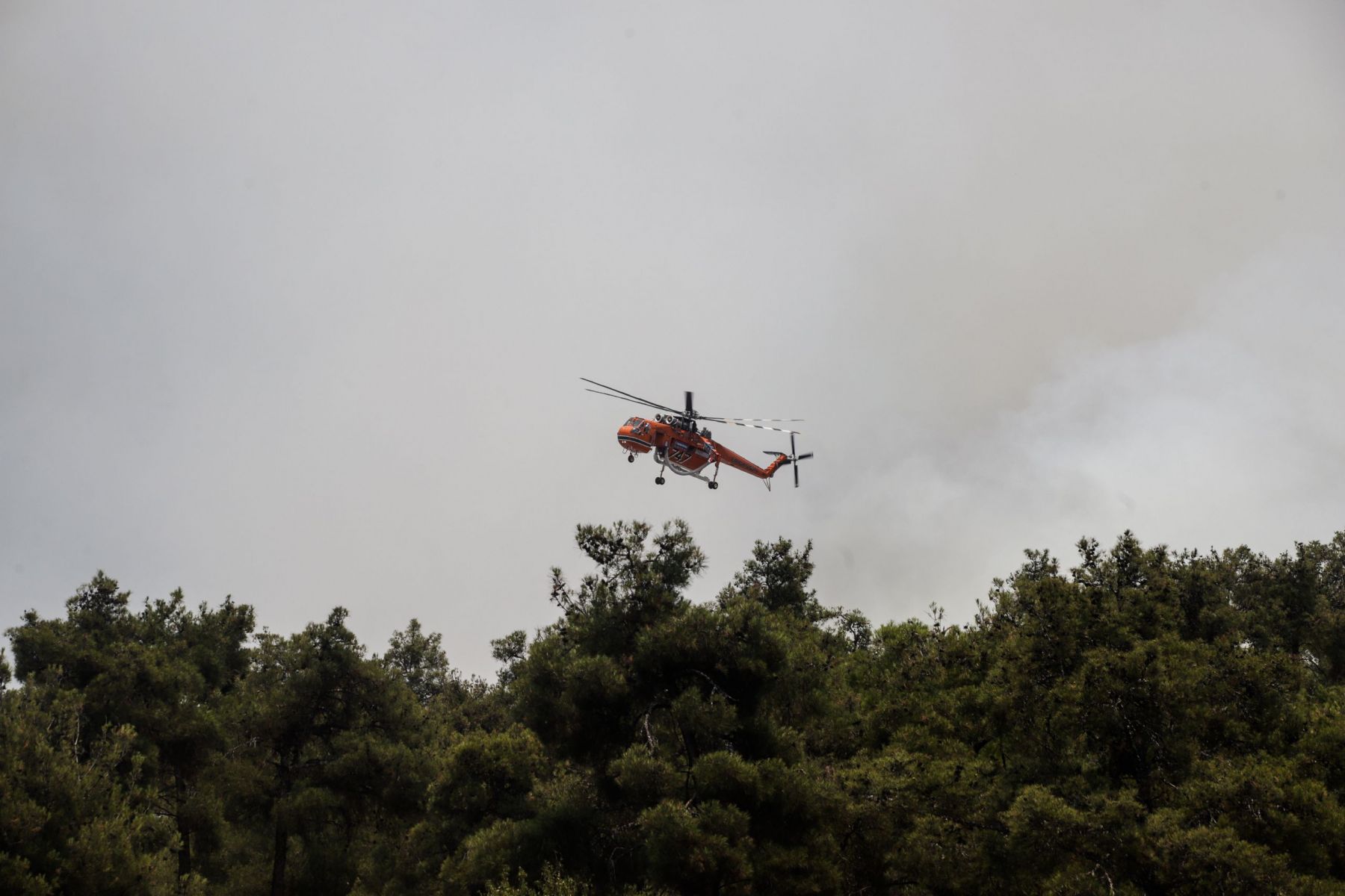 Κλείνει το Σέιχ Σου: Αυξημένος ο κίνδυνος πυρκαγιάς στο δάσος