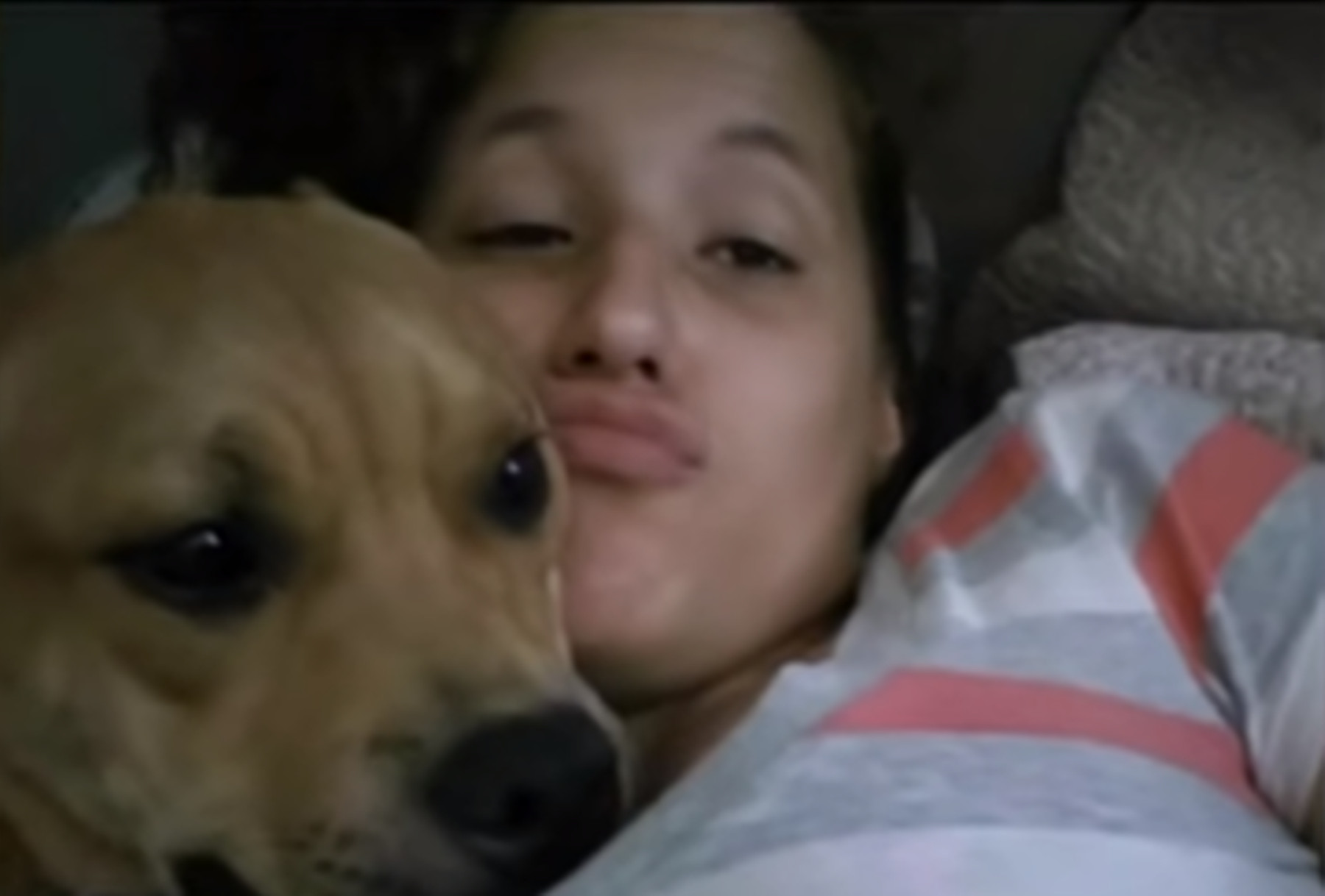 Σκύλος Πενσυλβάνια: Η απίστευτη ιστορία της γυναίκας που βρήκε το χαμένο σκυλάκι της