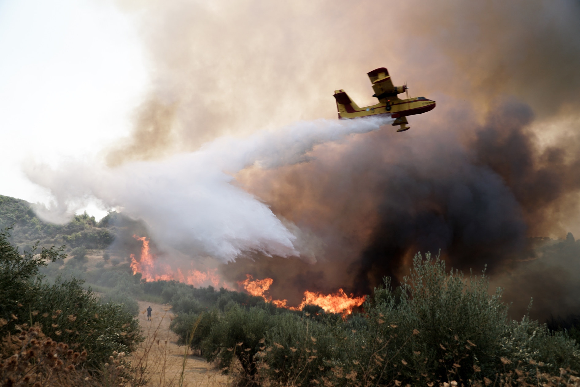 Πτώση αεροσκάφους Ζάκυνθος: Έπεσε Πετζετέλ κατά τη διάρκεια κατάσβεσης
