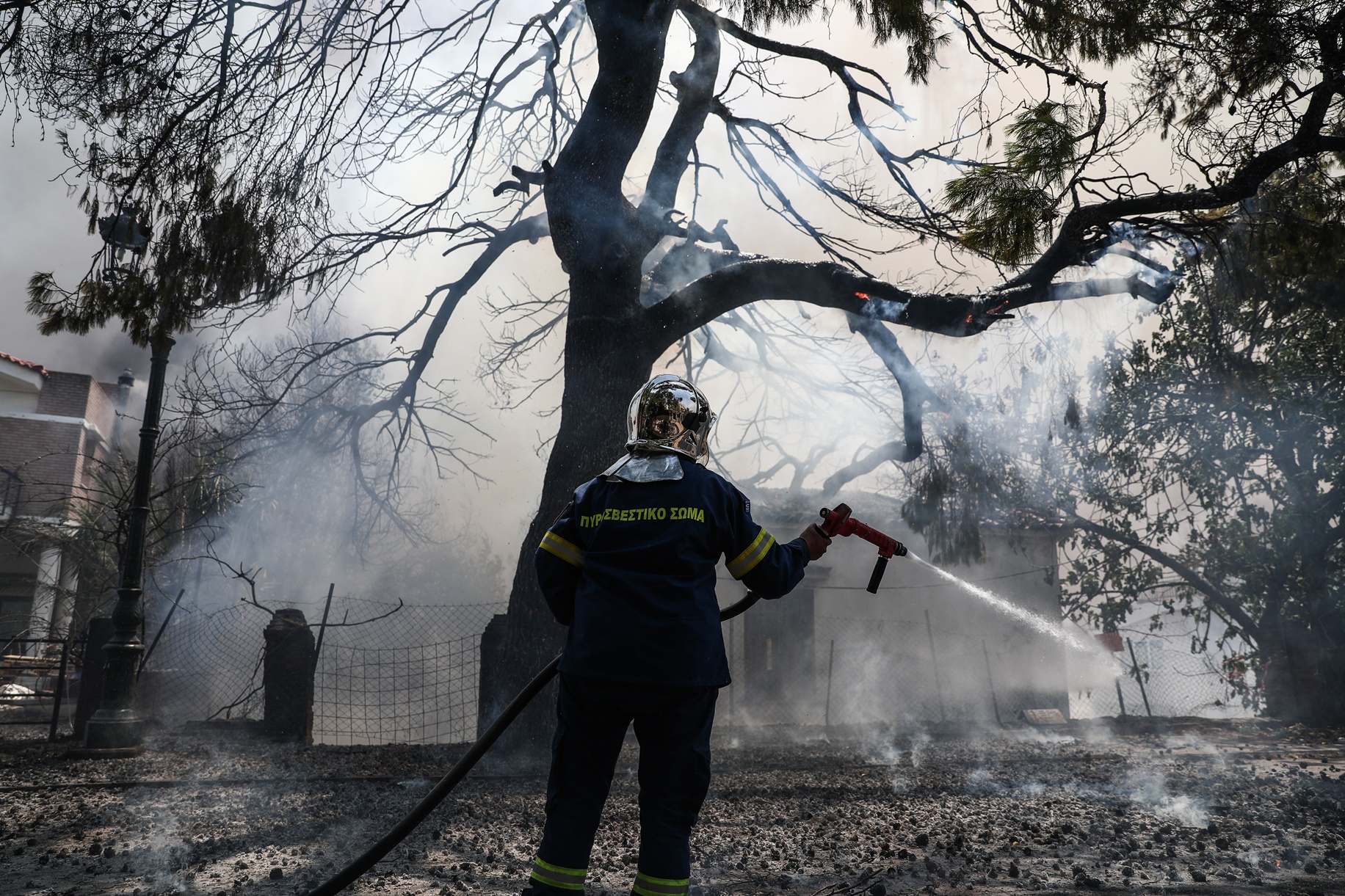 Σύλληψη εμπρηστών: Τα τσόφλια καρυδιών για προσάναμμα 15