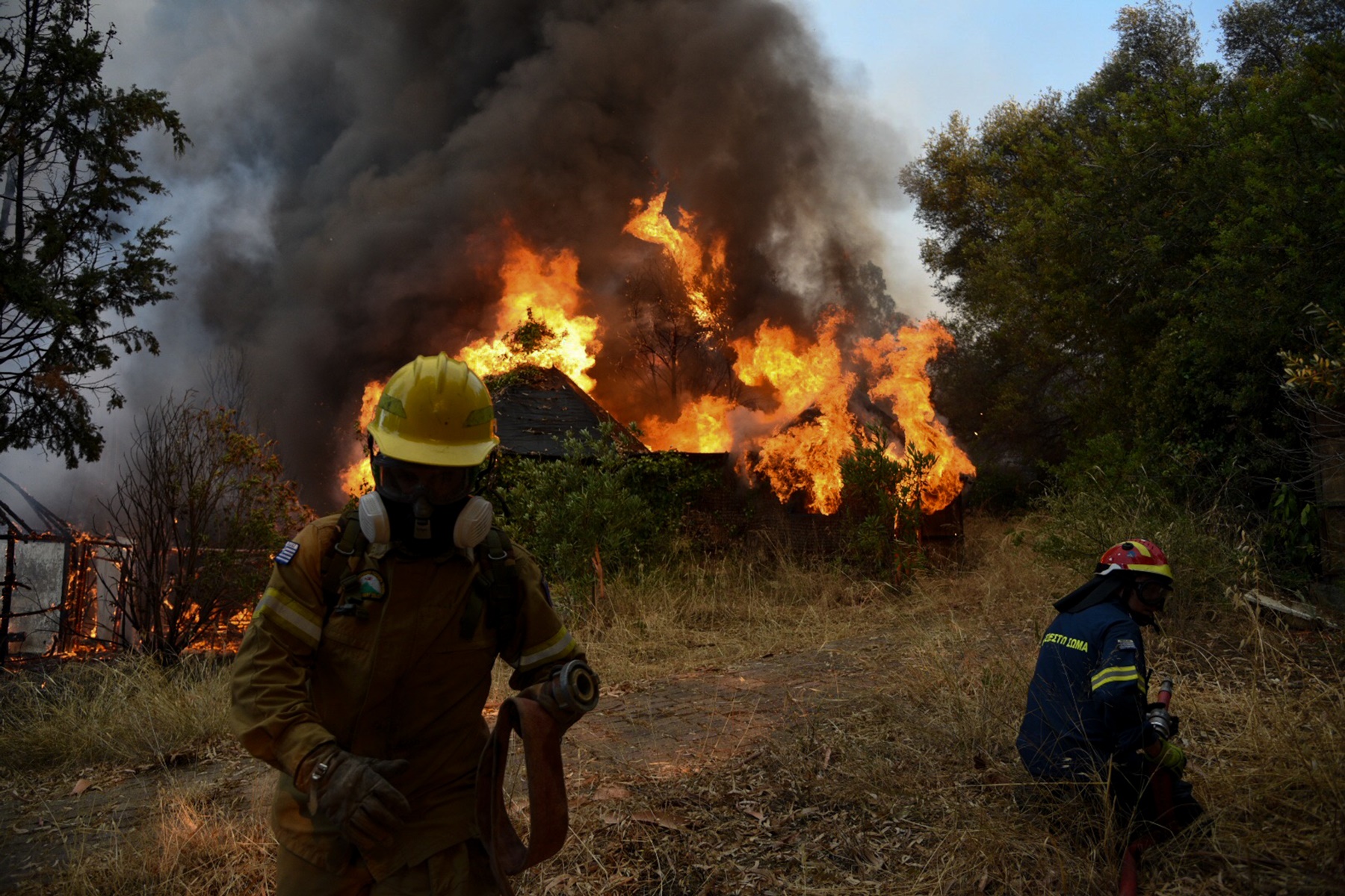 Φωτιά Αχαΐα τώρα: Κάηκαν 20 σπίτια, 16 τραυματίες – Άνοιξαν οι Εθνικές Οδοί
