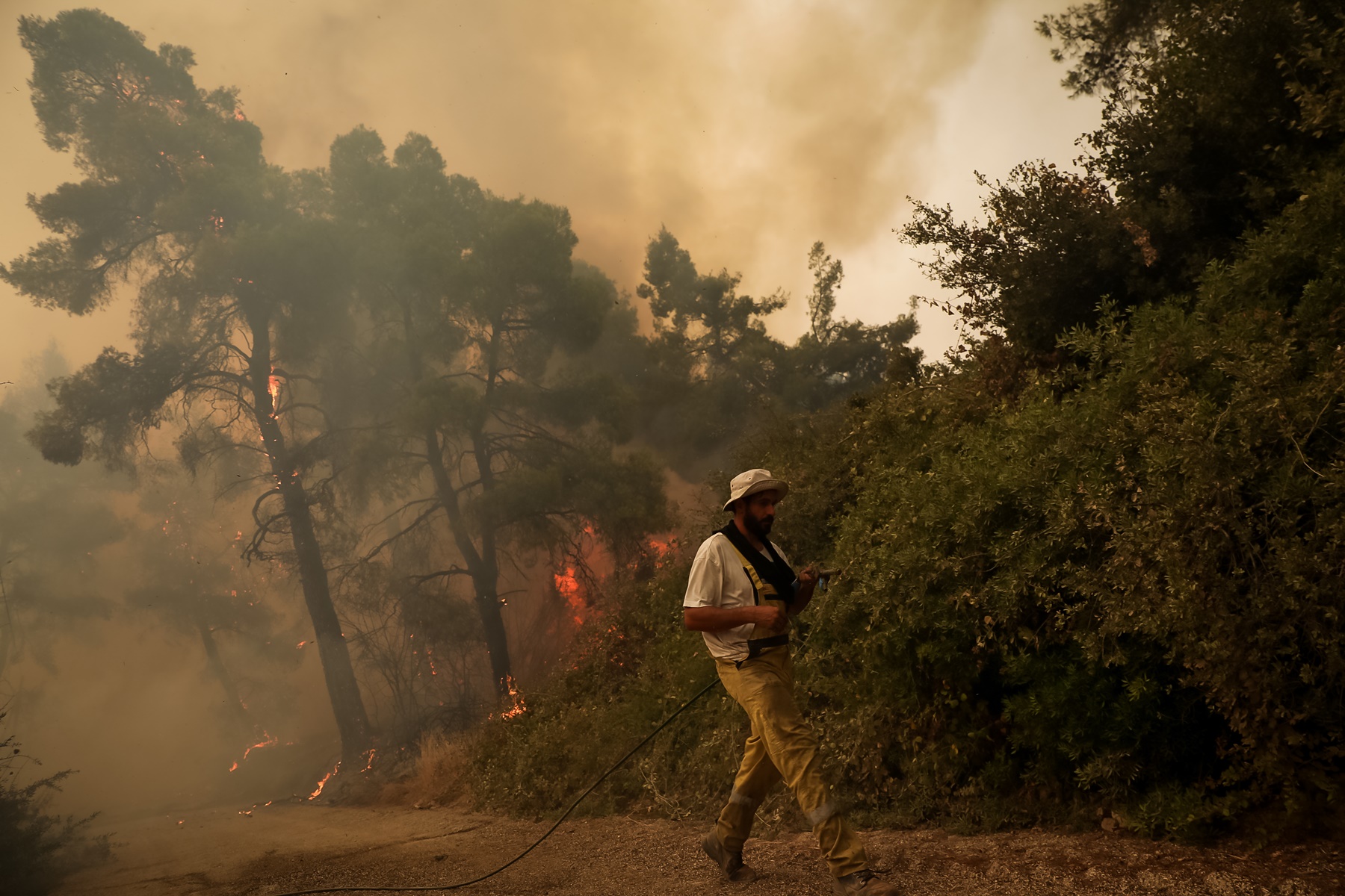 Συλλήψεις για εμπρησμό – Πέραμα: Τρεις νέες προσαγωγές στο άλσος