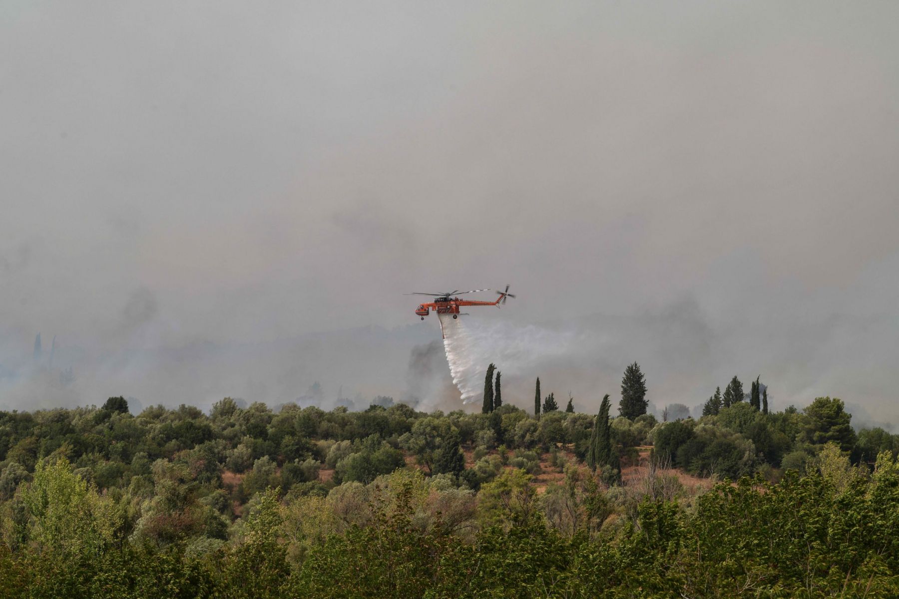 Πευκί κάτοικοι – πυροσβέστες: Κίνηση ευγνωμοσύνης για τη μάχη με τις φλόγες