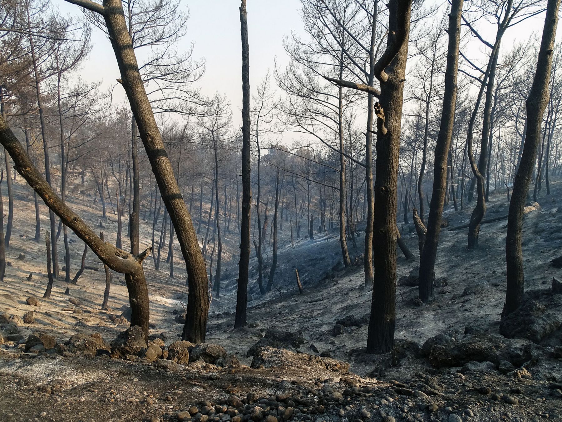 Φωτιά Ρόδος τώρα: Σε ύφεση η πυρκαγιά – Εκκενώνονται κι άλλες περιοχές