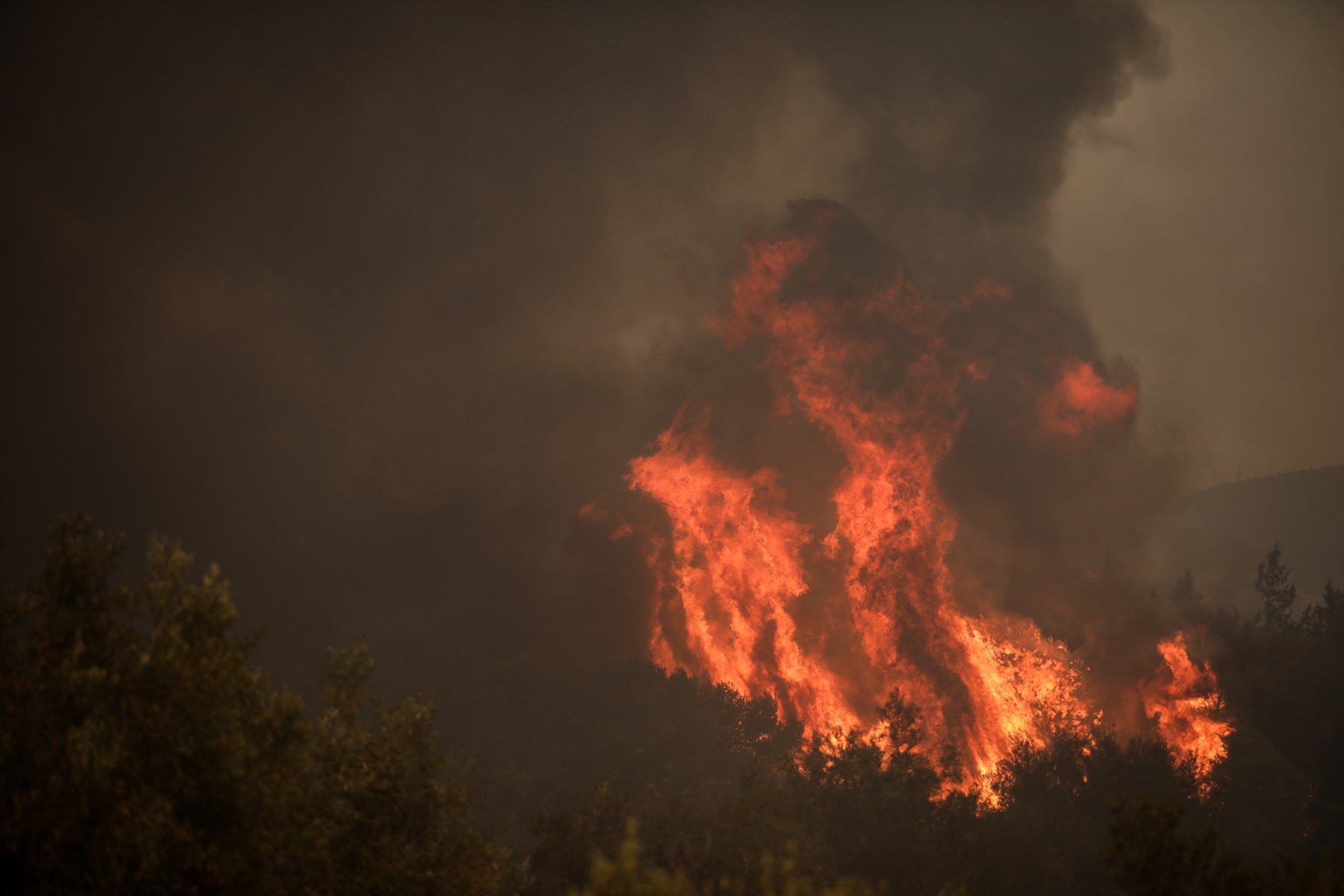 Φωτιά Κως τώρα: Εκκενώθηκε η Τσουκαλαριά και το Πλατάνι