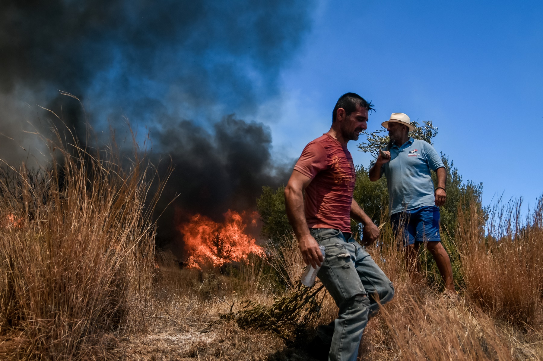 Φωτιά Κερατέα τώρα: Αναζωπυρώσεις στην περιοχή, μάχη από τα εναέρια στα Βίλια