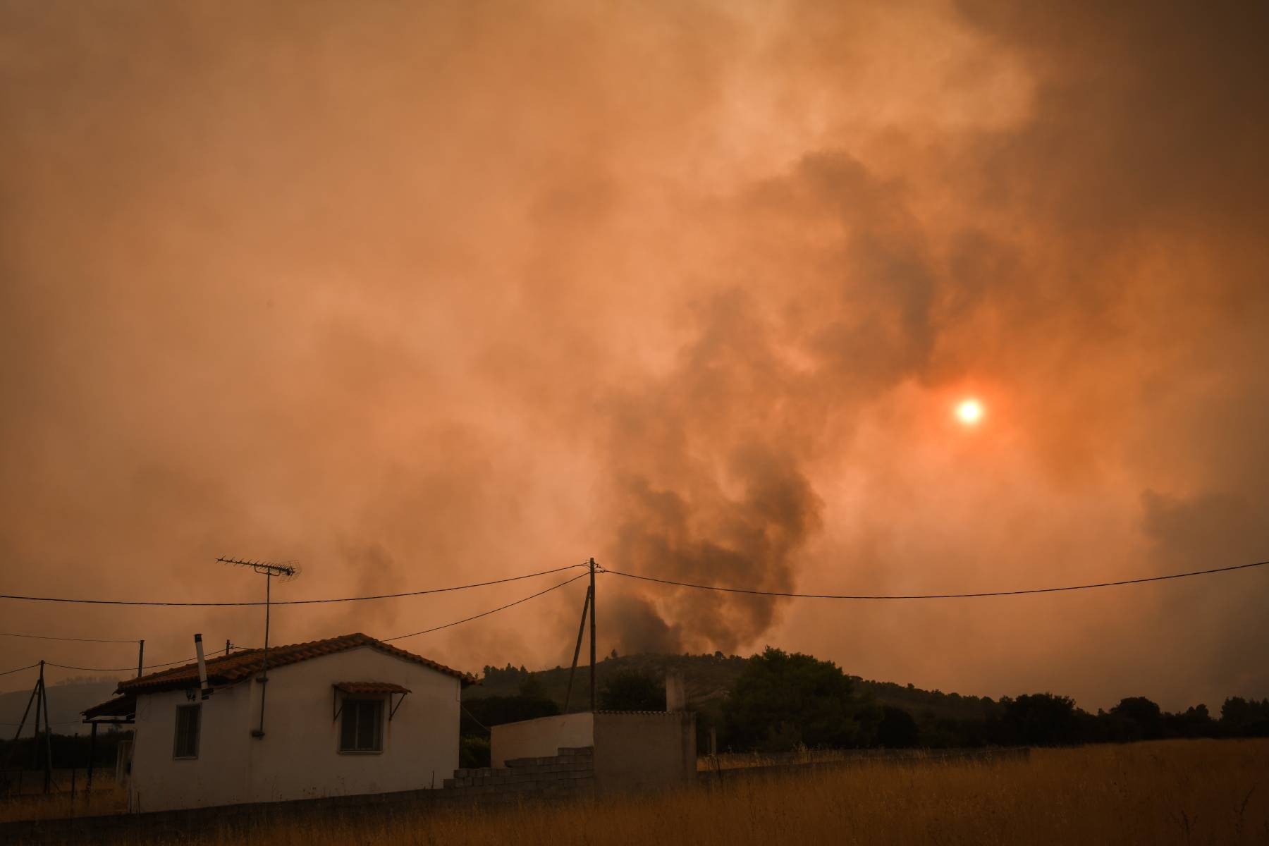 Πυρόπληκτοι αποζημιώσεις- αίτηση: Σε λειτουργία η πλατφόρμα- Έως τις 30/9 οι αιτήσεις