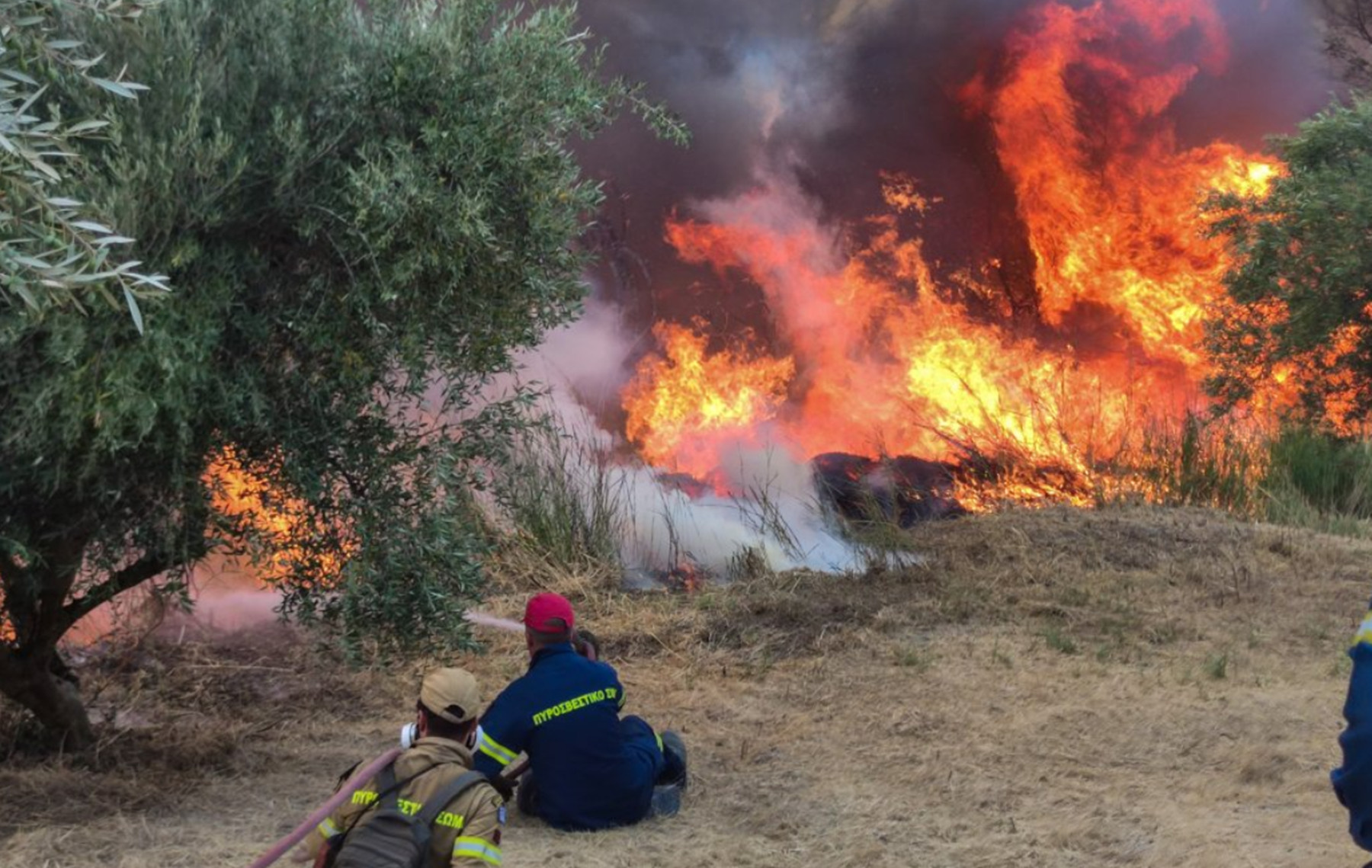 Φωτιά στην Ηλεία – τώρα: Νοσηλεύεται στο Σισμανόγλειο Ισραηλινός πυροσβέστης