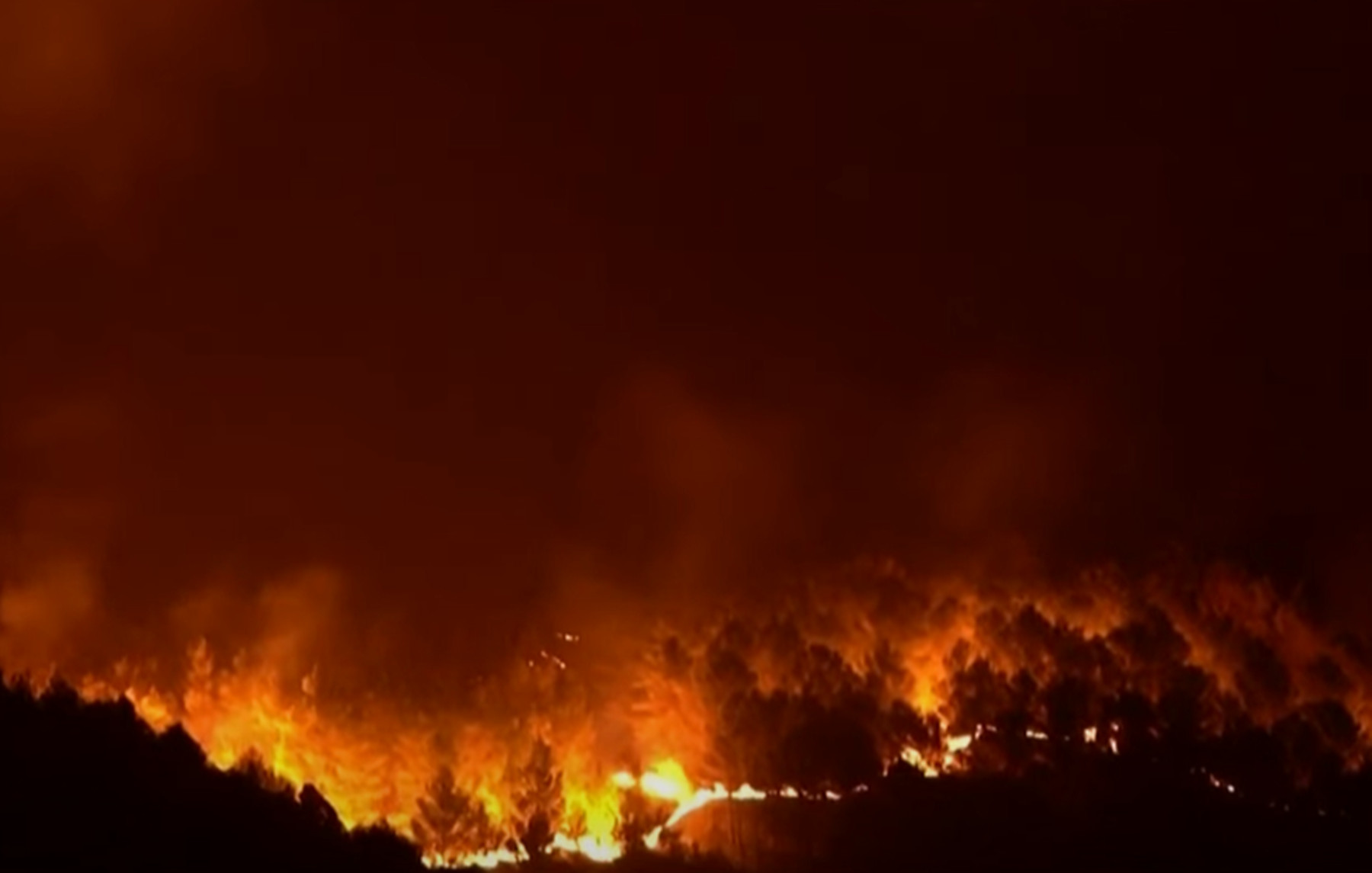 Φωτιές Ιταλία τώρα: Στους τέσσερις νεκροί- Πάνω από 500 μέτωπα σε ένα βράδυ