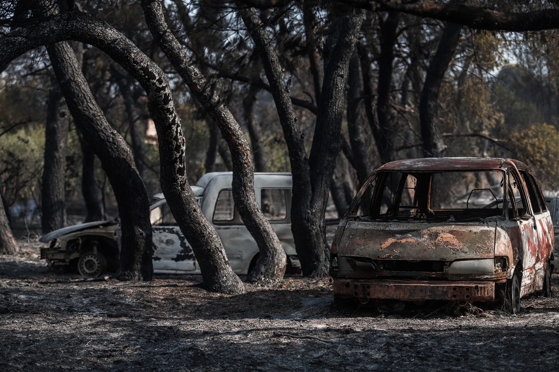 Βαρυμπόμπη – εμπρηστικός μηχανισμός: Σε εξέλιξη έρευνα, τι βρήκαν εθελοντές