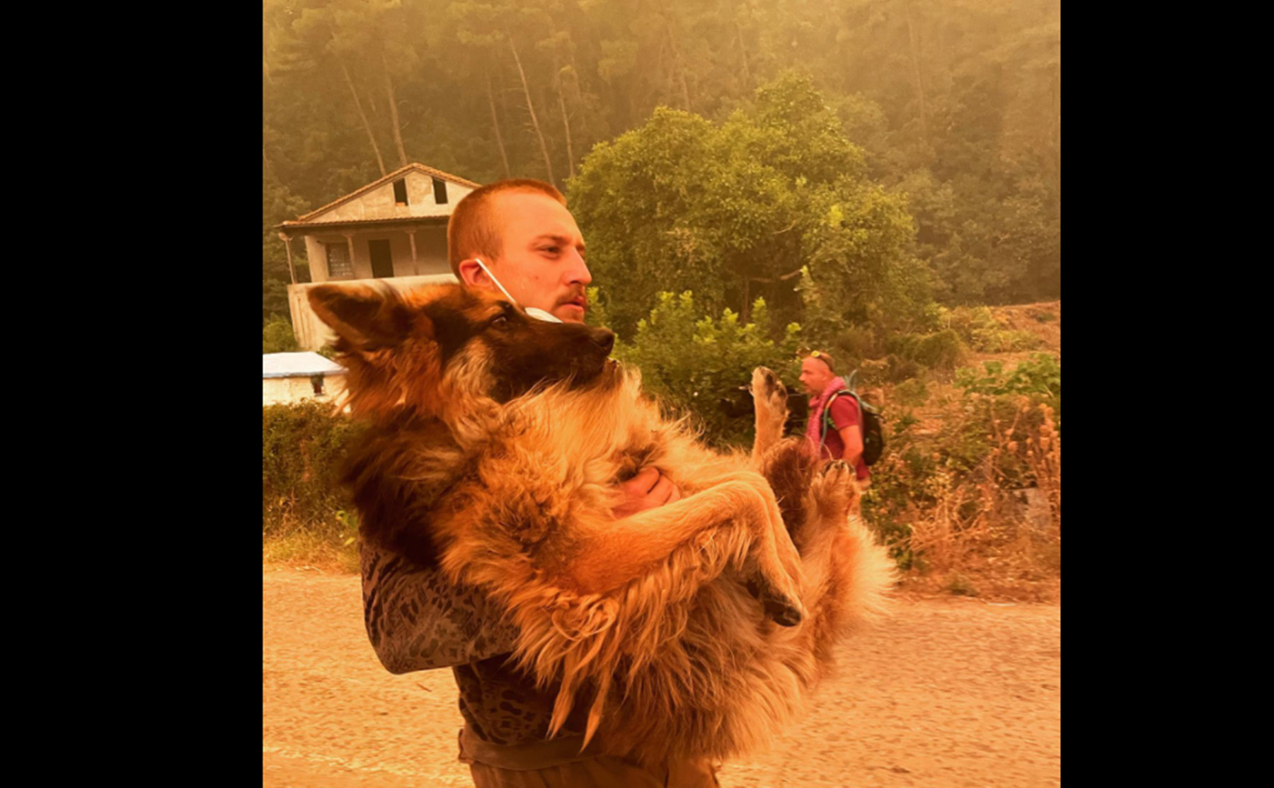 Λυκόσκυλο Εύβοια – φωτιά: Εθελοντής σώζει τετράποδο που είχαν εγκαταλείψει