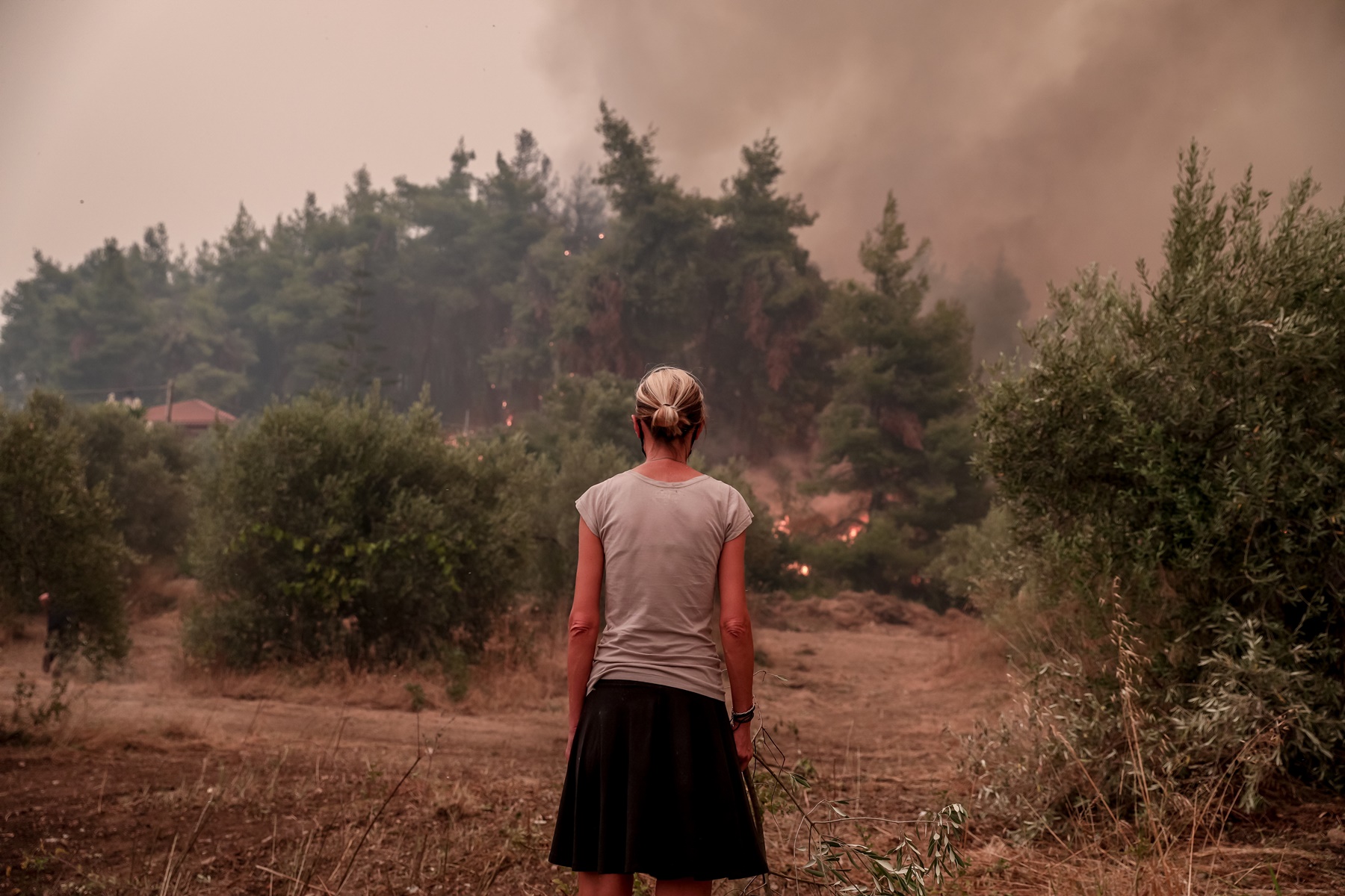 Φωτιά στην Εύβοια τώρα: Συνεχείς αναζωπυρώσεις – Πλησιάζει την Ισταία