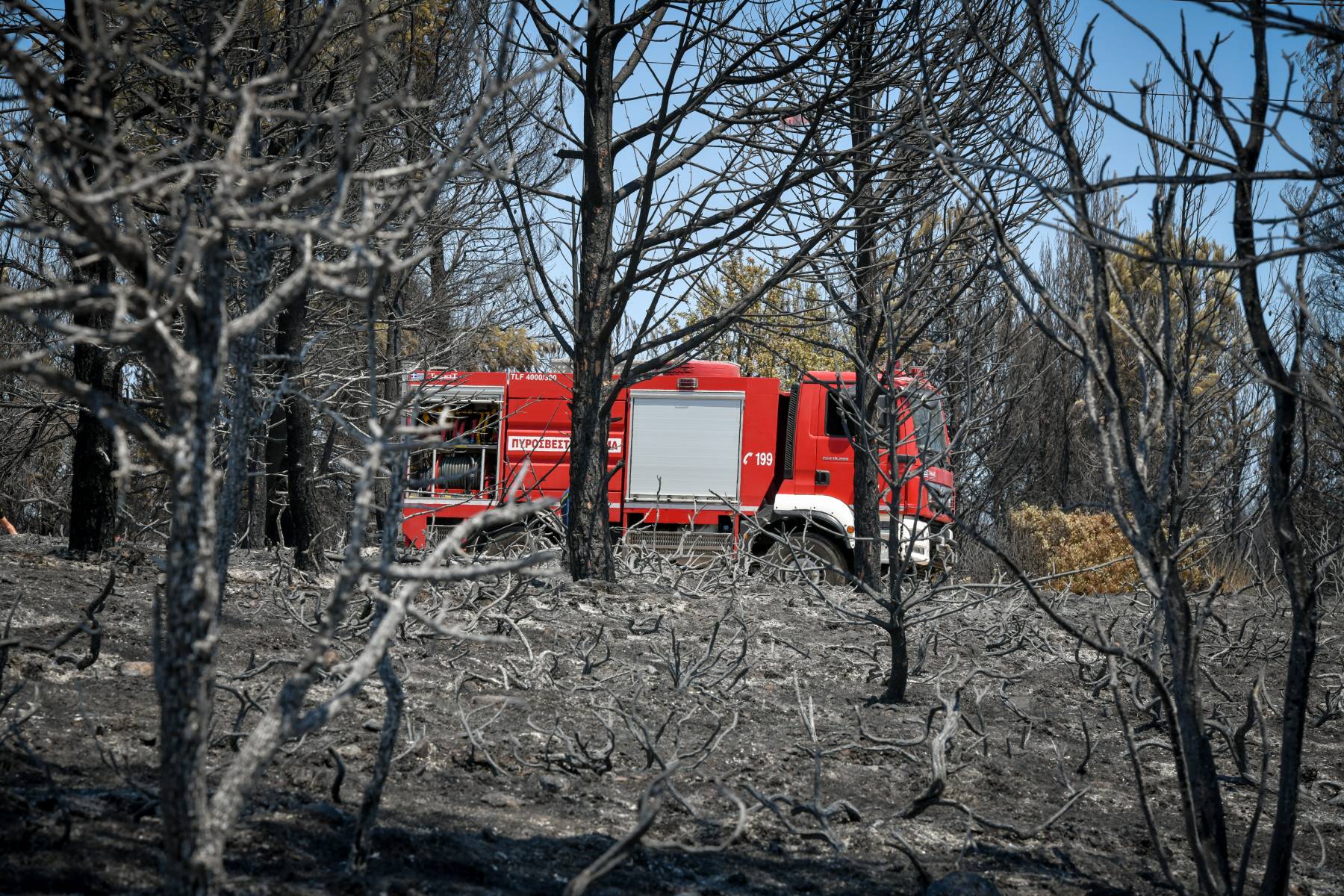 Φωτιά Γρεβενά τώρα: Σε ύφεση η πυρκαγιά στην περιοχή των Βεντζίων