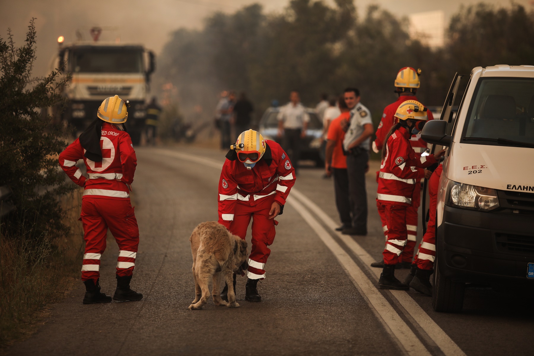 Βαρυμπόμπη φωτιά – ζώα: Αστυνομικοί έσωσαν σκύλο