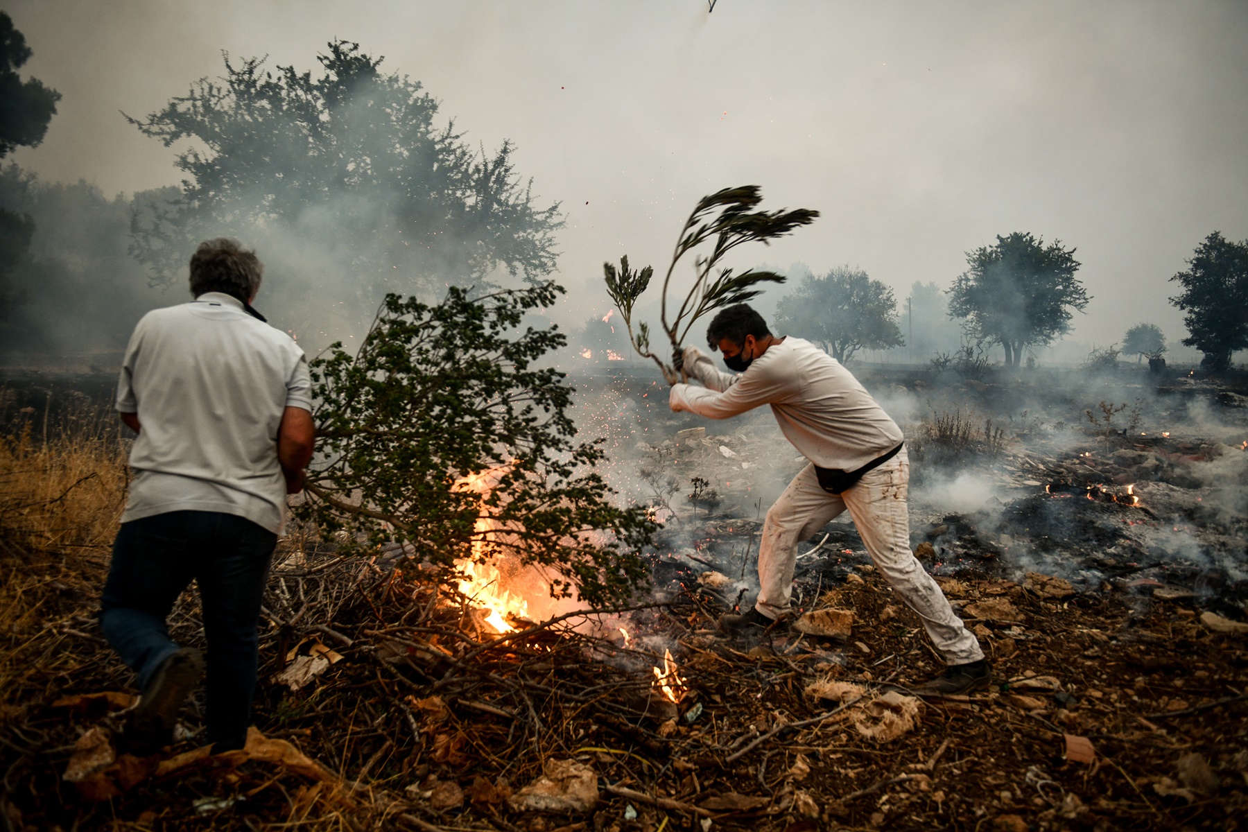Βίλια φωτιά – βίντεο: Στρόβιλος πέταξε κορμό δέντρου προς τους πυροσβέστες