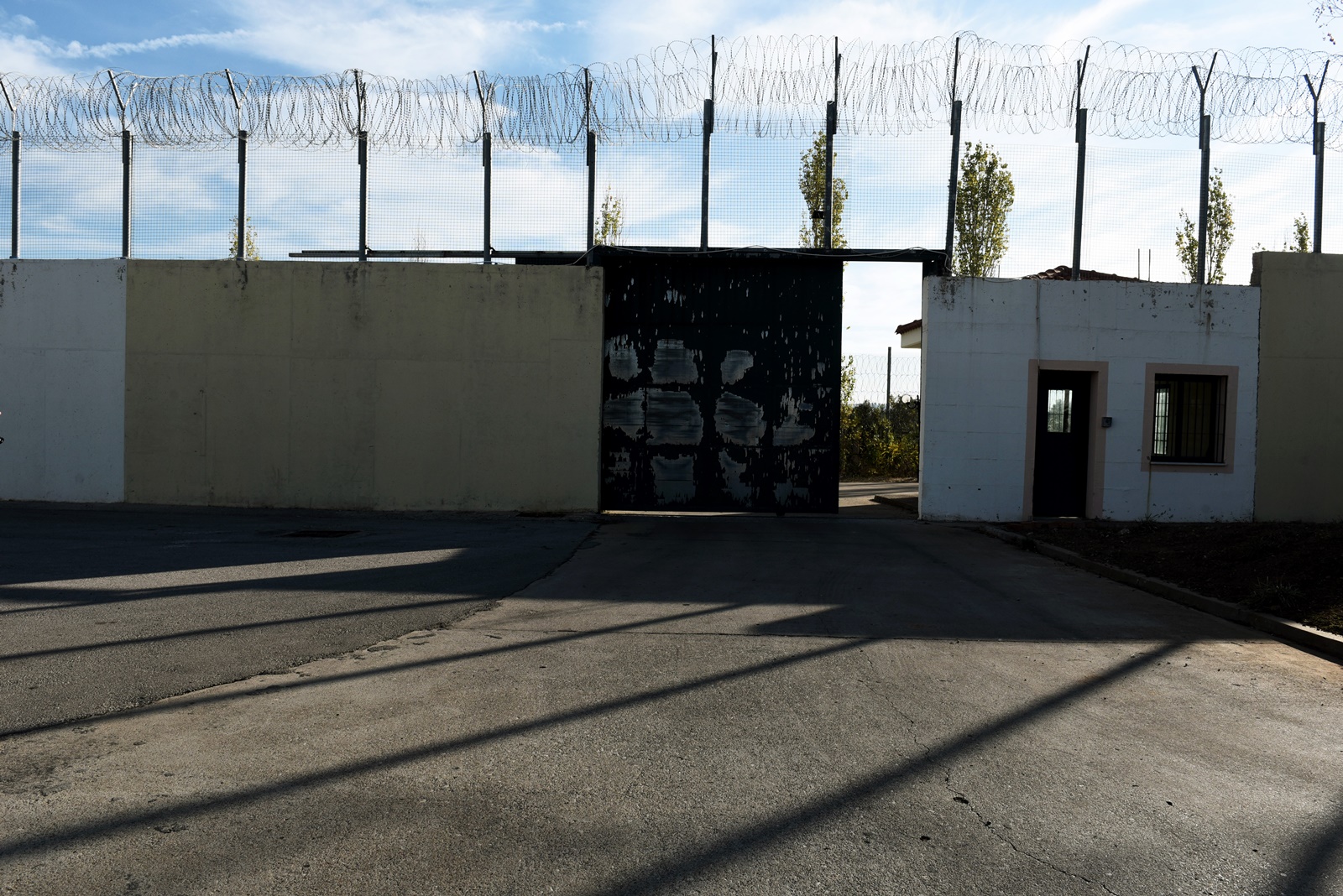 Σκύλοι στις φυλακές: Η Νίκη, συμμετέχει σε ένα πρόγραμμα εκπαίδευσης στον Ελαιώνα