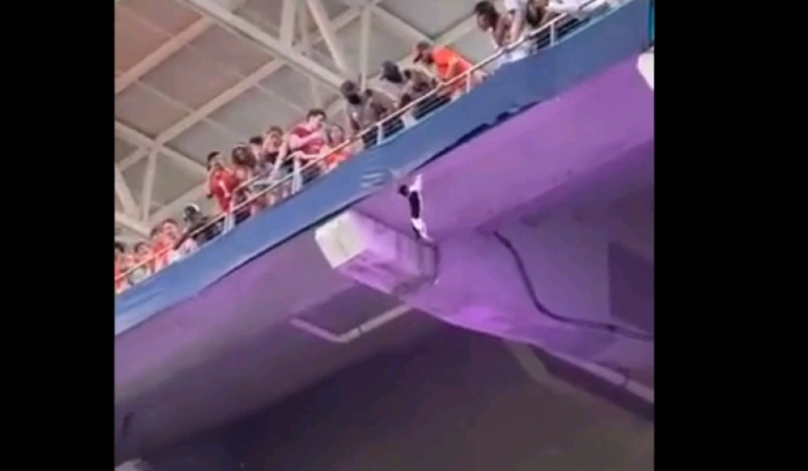 Θεατές έσωσαν γάτα: Στιγμές τρόμου σε γήπεδο – Βίντεο