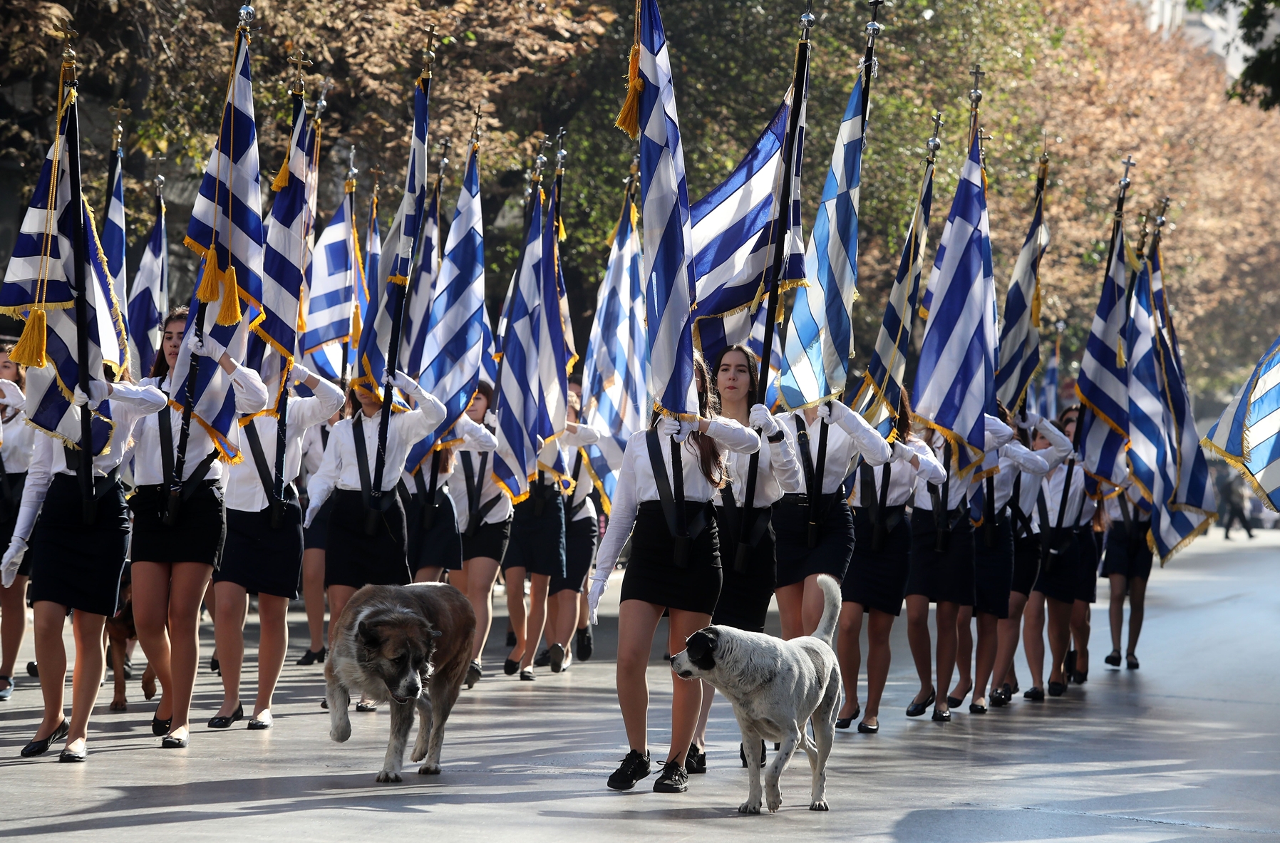 Δήμος Αμαρουσίου – ανακοίνωση: Δελτίο τύπου για τις παρελάσεις