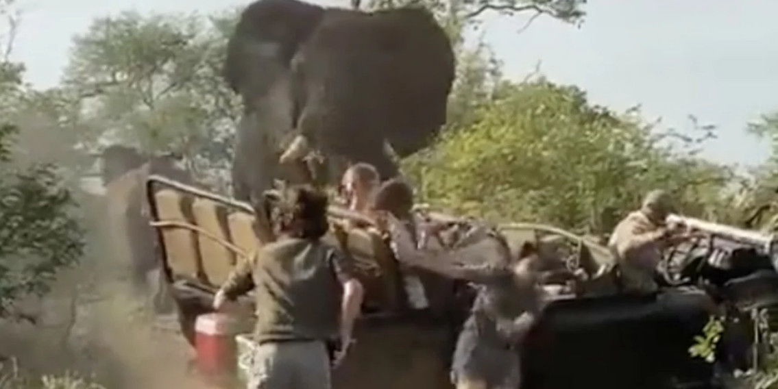 Επίθεση ελέφαντα σε τζιπ: Απίστευτα τρομακτική στιγμή – Viral το βίντεο