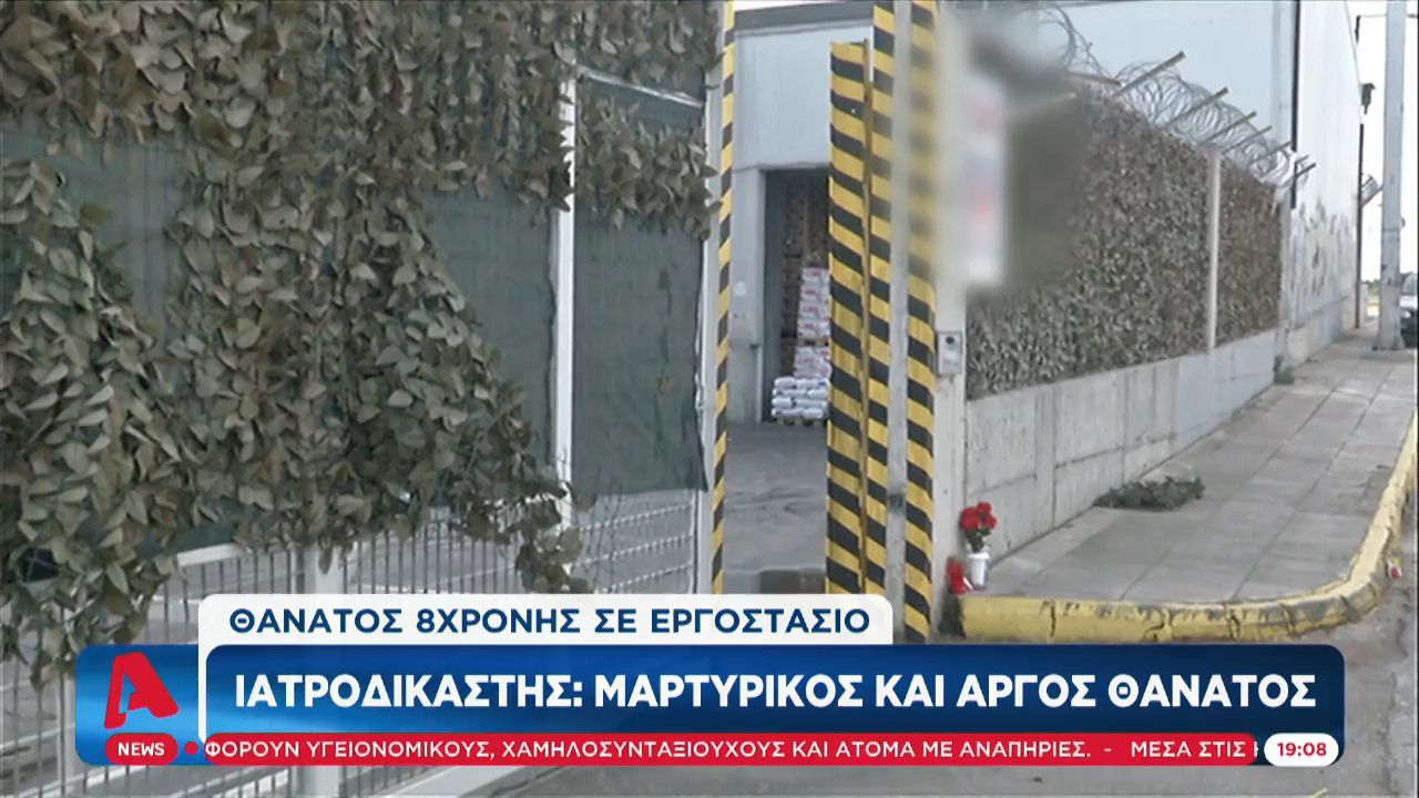 8χρονη Κερατσίνι: Συγκλονίζει η ιατροδικαστική έκθεση για τον θάνατο της μικρούλας