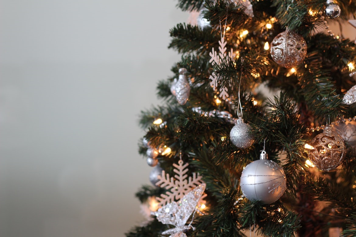 Χριστουγεννιάτικο δέντρο – φίδι: Ξετρύπωσε στο σαλόνι οικογένειας
