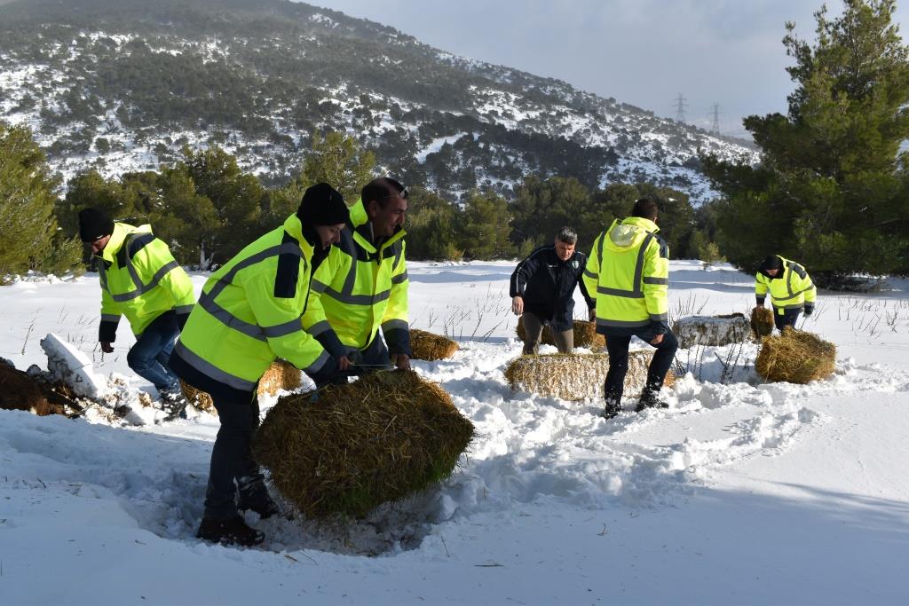 Δήμος Φυλής: Ιδιαίτερη μέριμνα για τις ημέρες της κακοκαιρίας