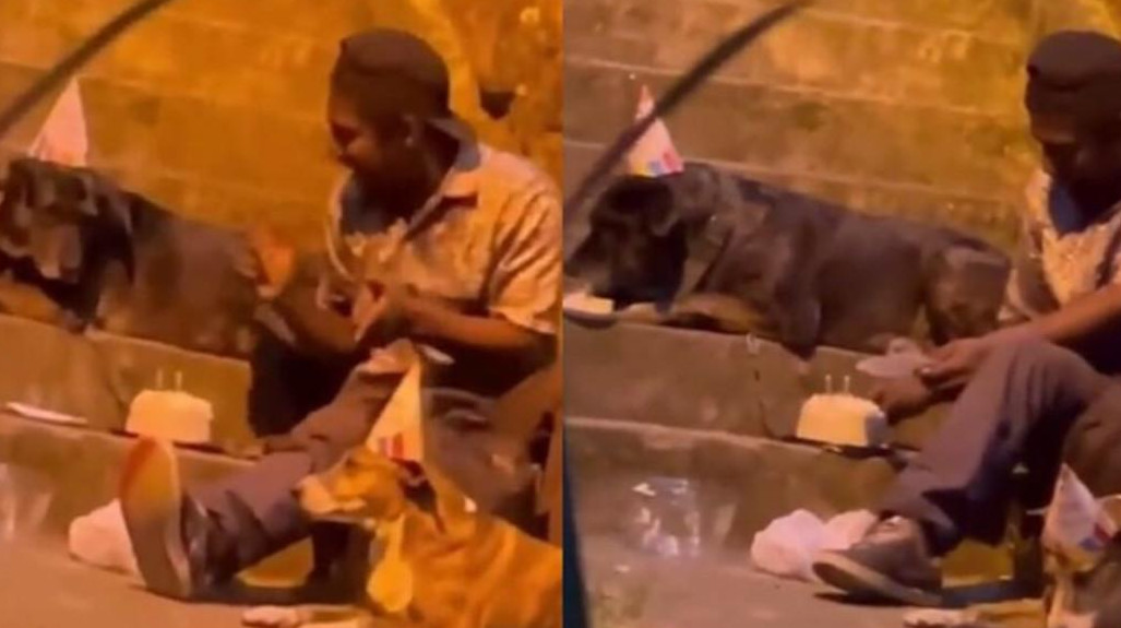Γενέθλια στον σκύλο: Άστεγος γιορτάζει στον δρόμο, το viral βίντεο