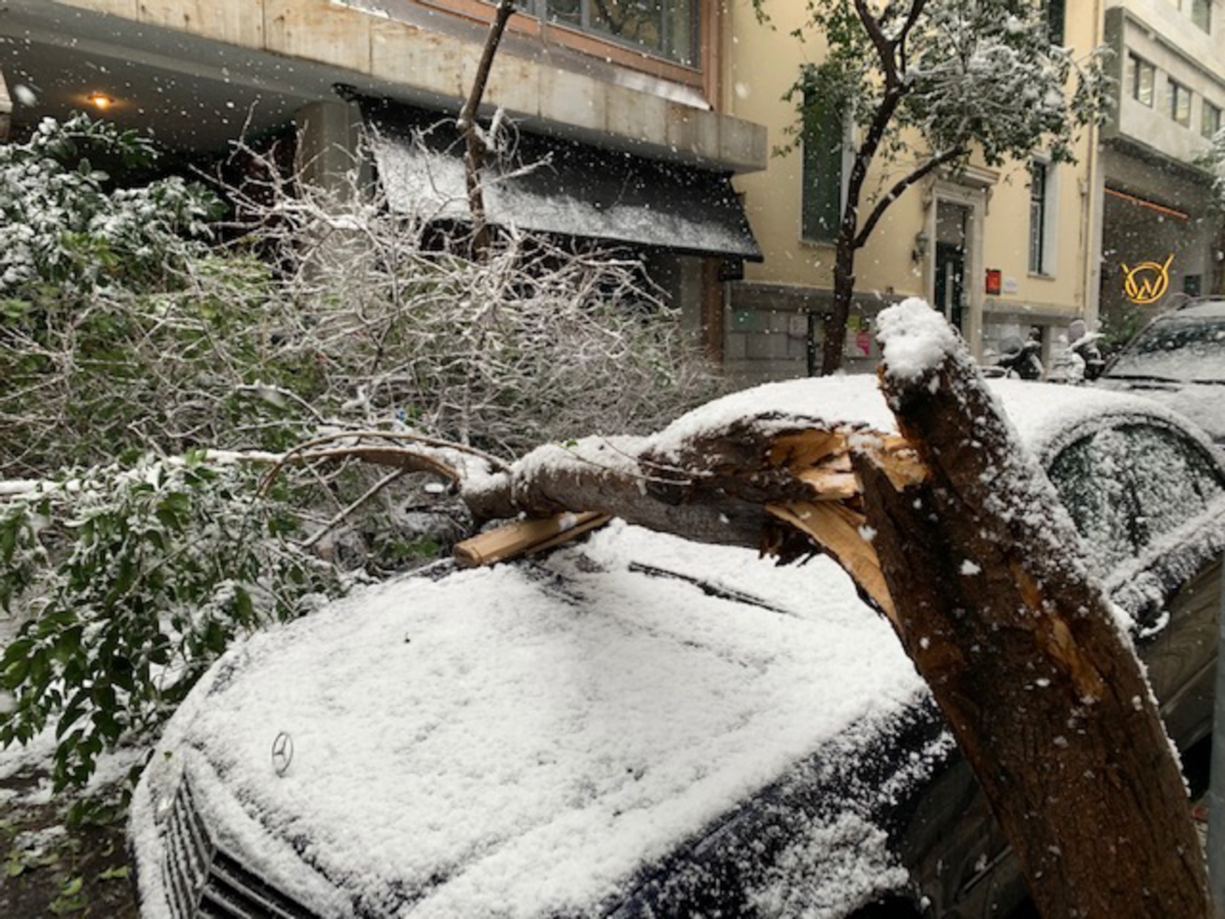 Δήμος Αθηναίων: Αποζημιώσεις για τα πεσμένα δέντρα σε αυτοκίνητα