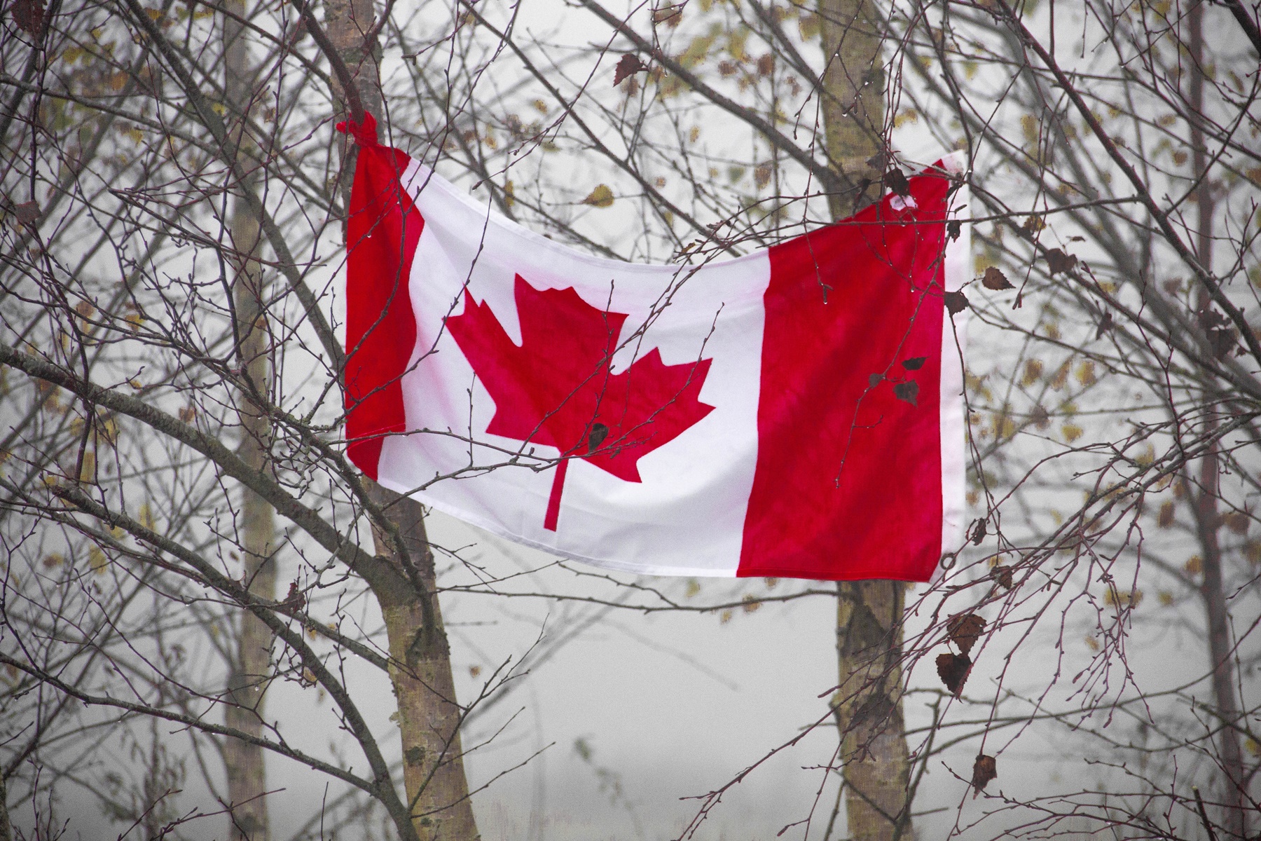 Καναδάς κονβόι ελευθερίας: Κλιμακώνεται η ένταση