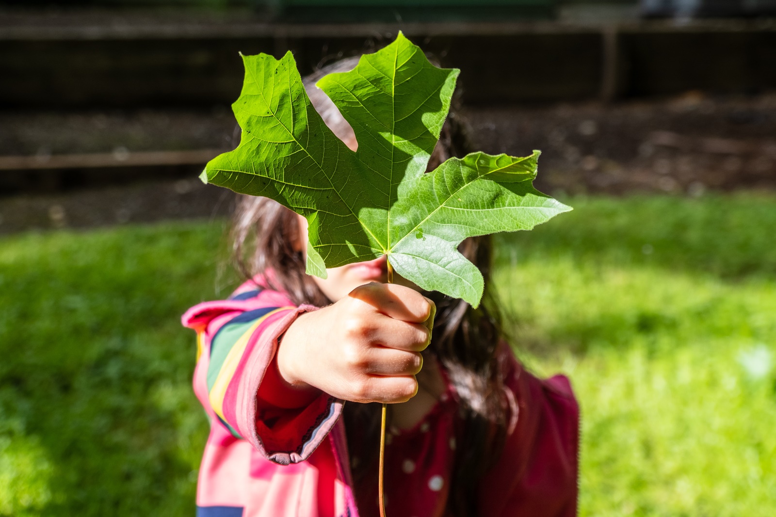 «Greek Green Awards 2022»: Νέα διάκριση για τον Δήμο Κηφισιάς