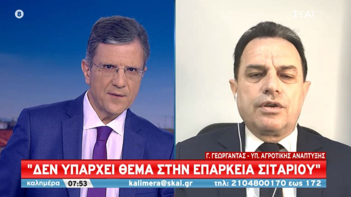 Γεωργαντάς σε ΣΚΑΪ: «Πλήρης επάρκεια σε σιτάρι»