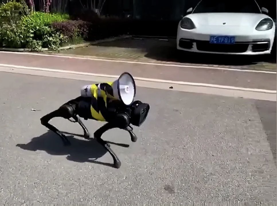 Σαγκάη ρομπότ – σκύλος: Εικόνες που τρομάζουν, πώς επιτηρούν το… λοκντάουν