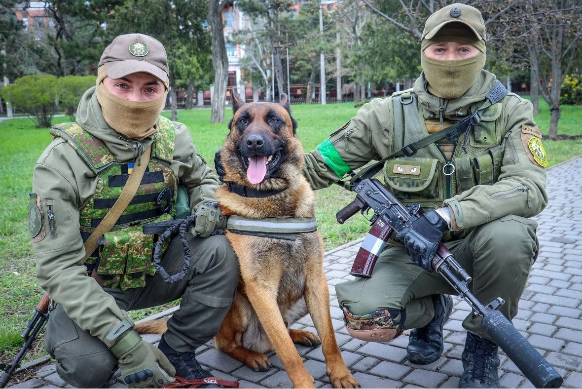 Σκυλιά στην Ουκρανία: Το πρώτο περιστατικό «αλλαγής στρατοπέδου» στον πόλεμο
