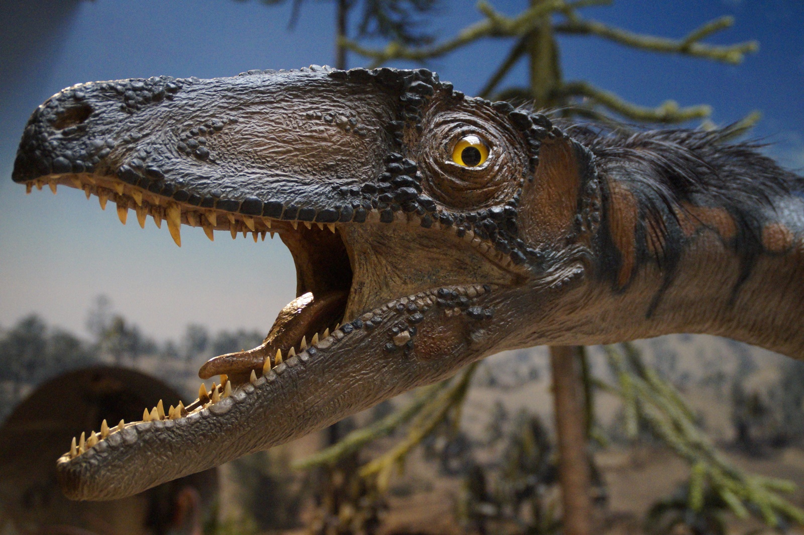 Ιπτάμενο ερπετό – Δράκος του Θανάτου: Στο «φως» ένας τεράστιος πτερόσαυρος