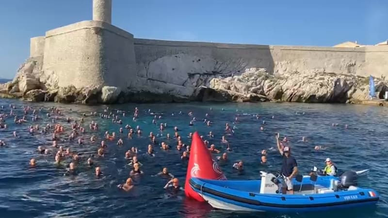 Τσούχτρες Μασσαλία: Τρόμος σε αγώνες – Επιτέθηκαν σε πάνω από 80 κολυμβητές (βίντεο)