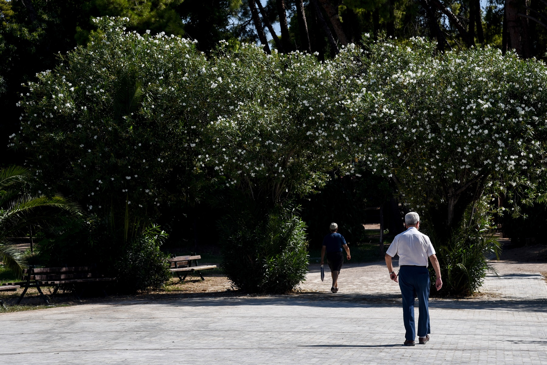 Δήμος Αθηναίων: “Μπαίνει” μπρος στο Σχέδιο Δράσης για το κλίμα