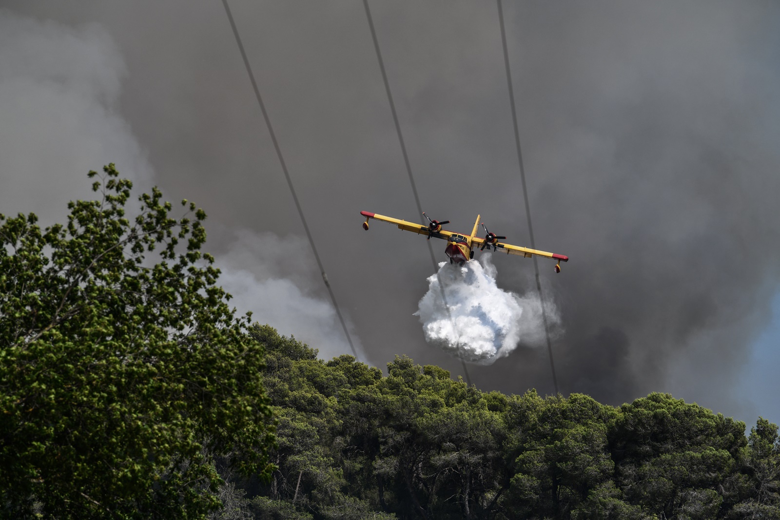 Κίνδυνος πυρκαγιάς Τρίτη 09/08: Ποιες περιφέρειες βρίσκονται στο επίπεδο 4