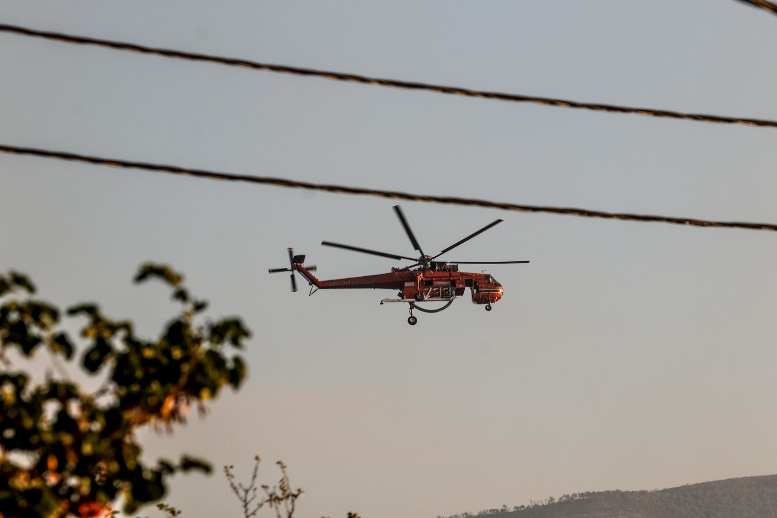 Φωτιά Χαλκίδα: Κινητοποιήθηκαν δυνάμεις της πυροσβεστικής