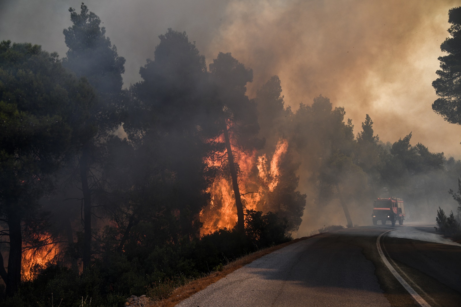 Άμφισσα φωτιά τώρα: Καίγεται ο Ελαιώνας – Απομακρύνουν κατοίκους από τη βόρεια Ιτέα