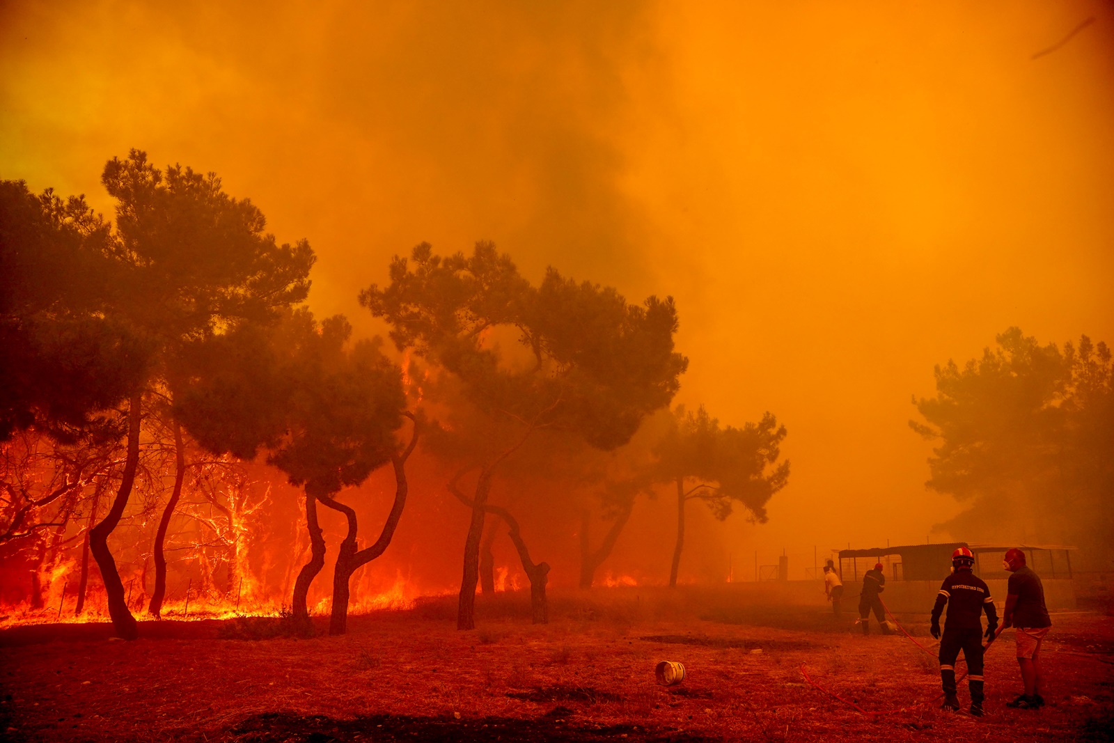 Καλλιάνος για φωτιά στη Λέσβο: «Ο καπνός έφτασε στις Κυκλάδες!»