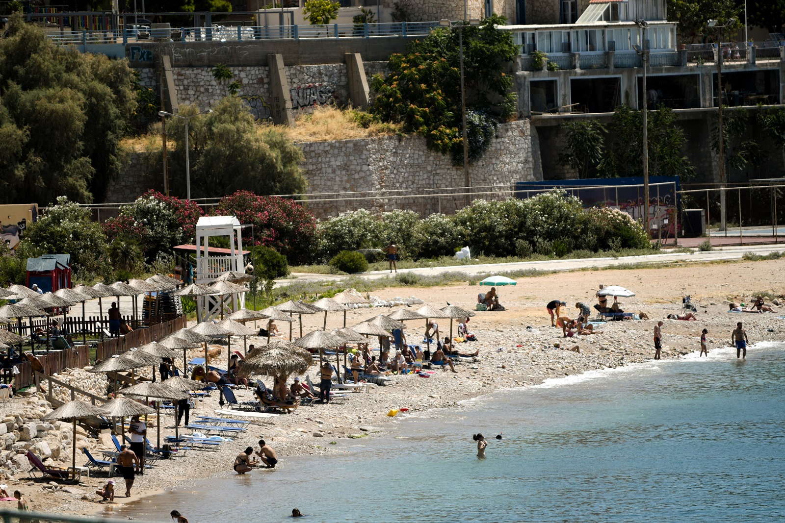 Μωβ μέδουσες: Υποχωρεί το φαινόμενο των μωβ μεδουσών στις ελληνικές θάλασσες