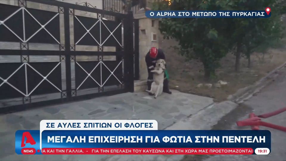 Σκύλος Ντράφι: Μια πολύ συγκινητική στιγμή