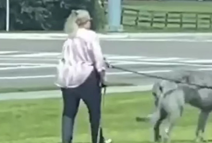 Viral: Διχάζει βίντεο με γυναίκα που βγάζει βόλτα το κατοικίδιό της