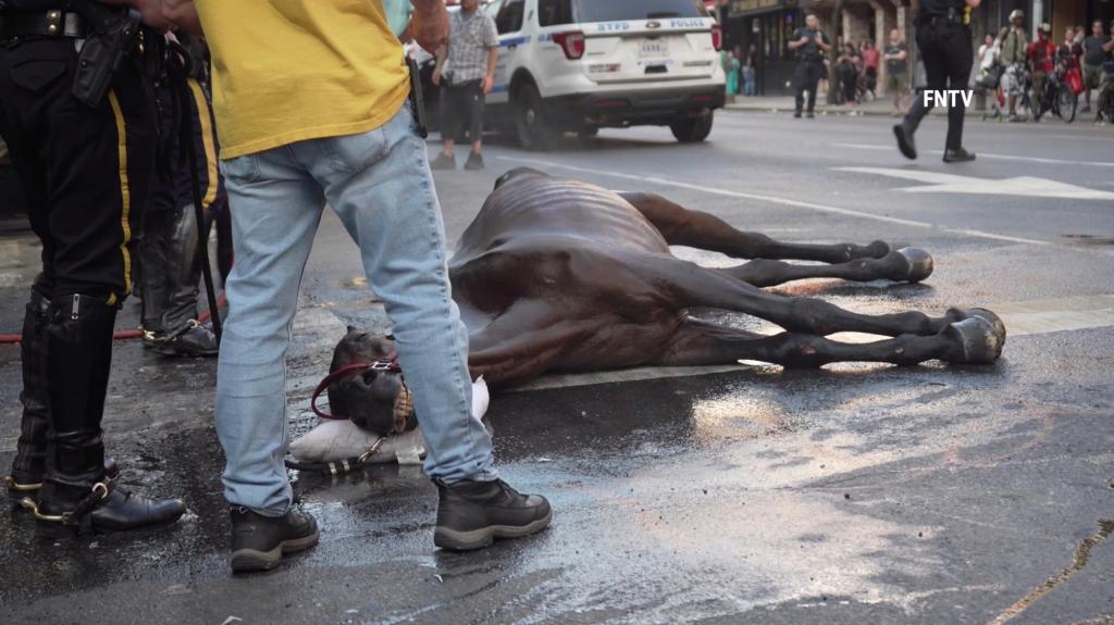 Κακοποίηση ζώου: Άλογο άμαξας κατέρρευσε και ο οδηγός το μαστίγωνε