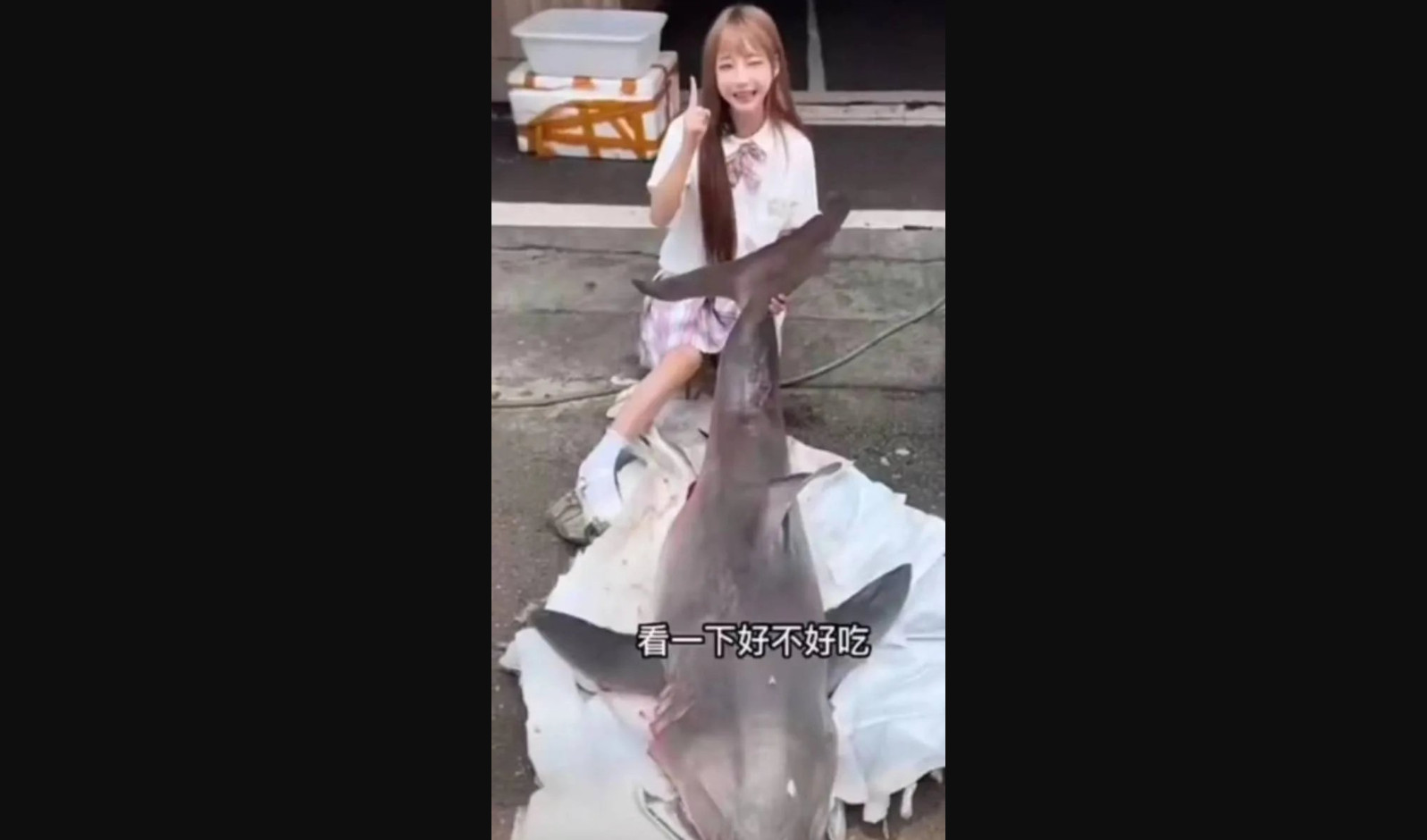 Καρχαρίας ινφλουένσερ: Οργή με τις αναρτήσεις Κινέζας